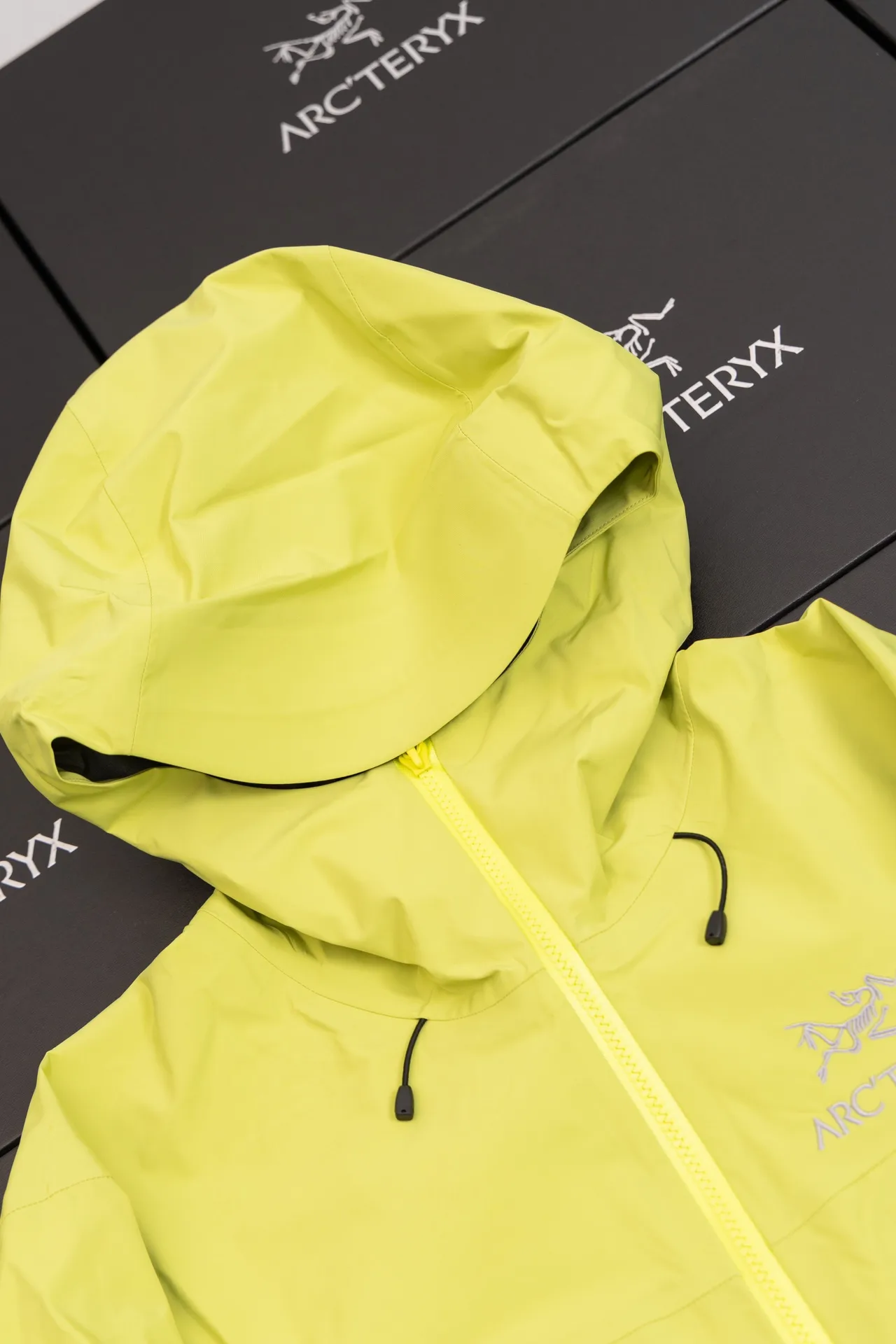 Alpha SV GORE-TEX Hooded Shell Jacket D34020790 — view 6