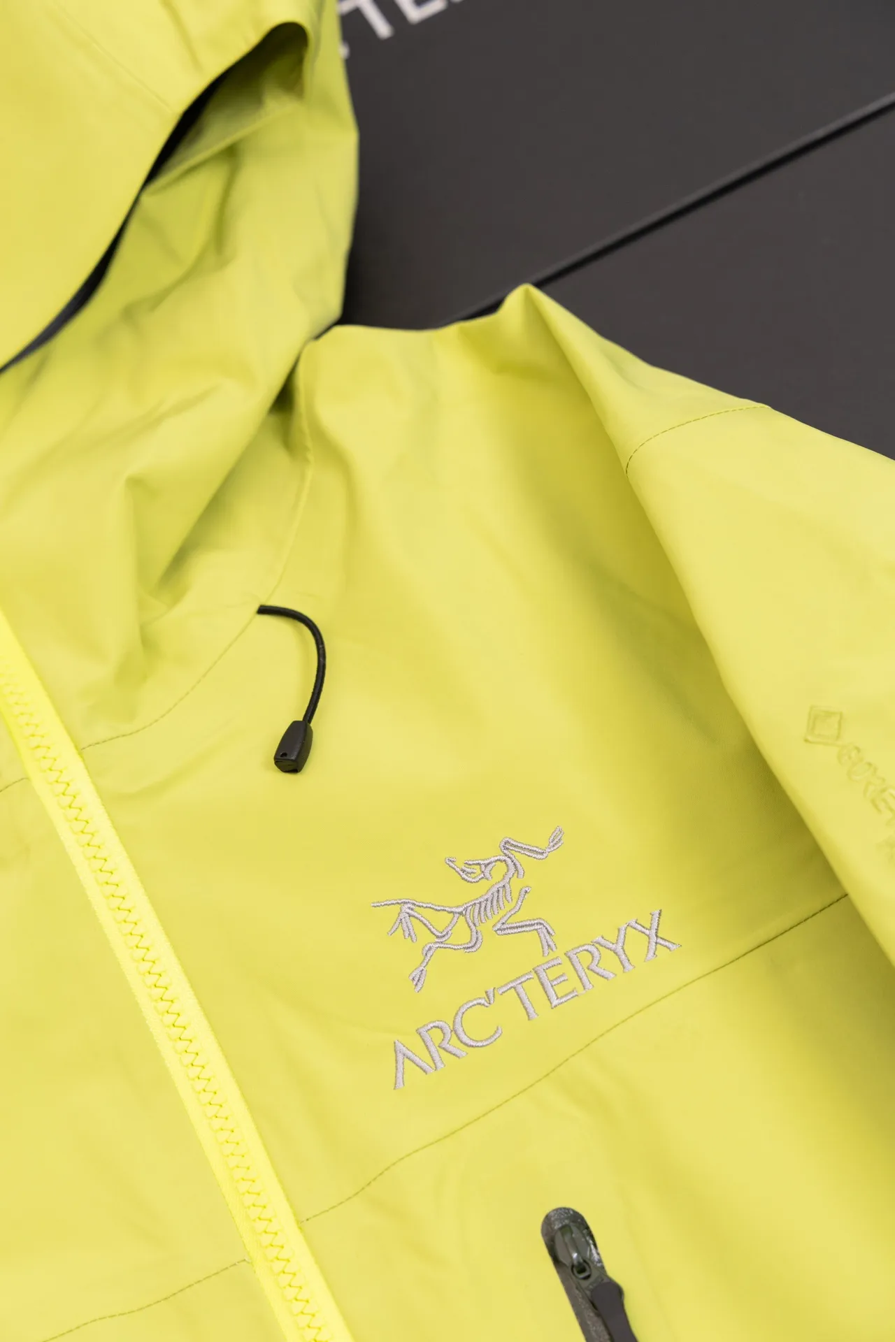 Alpha SV GORE-TEX Hooded Shell Jacket D34020790 — view 10