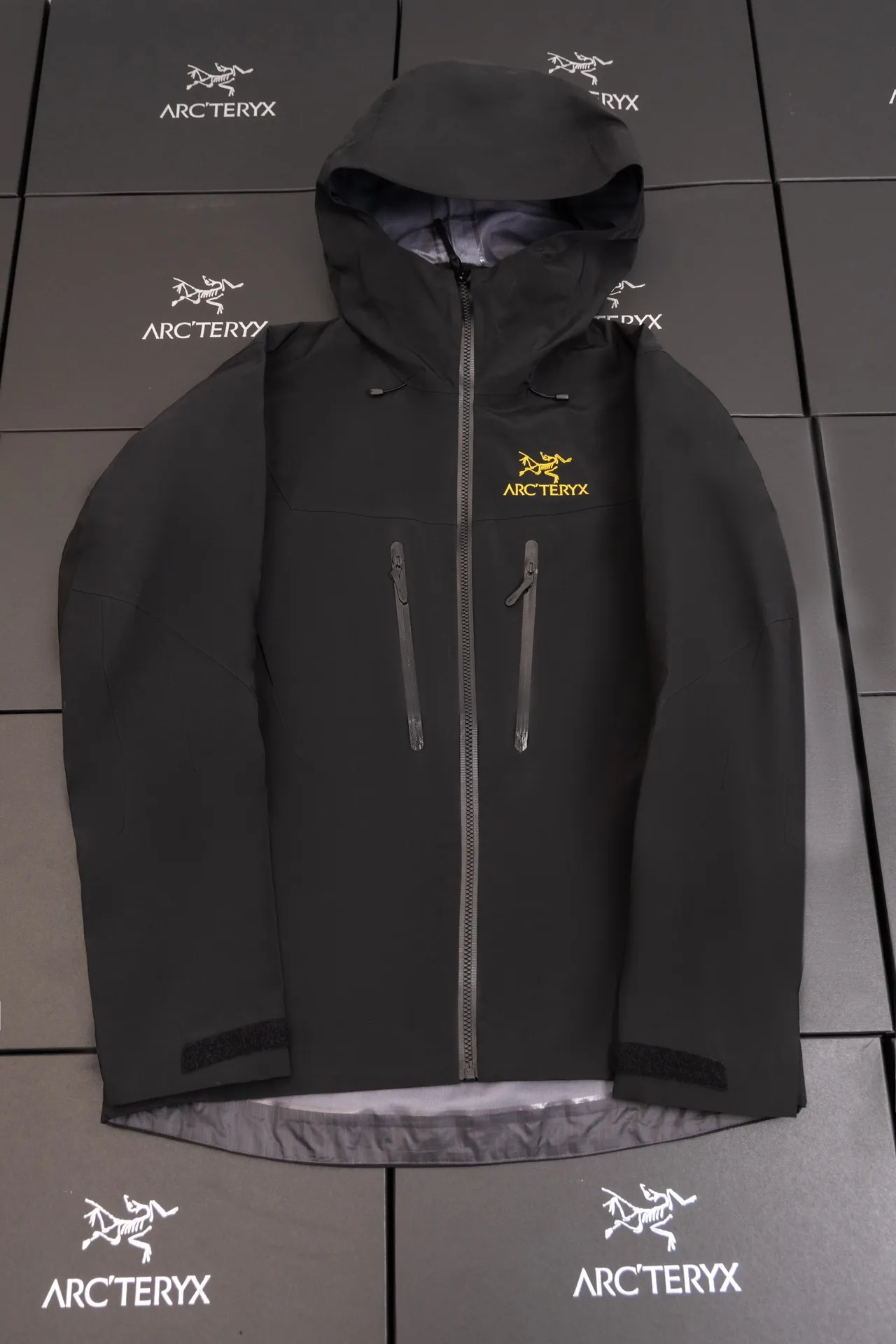 Alpha SV GORE-TEX Hooded Shell Jacket D34020793