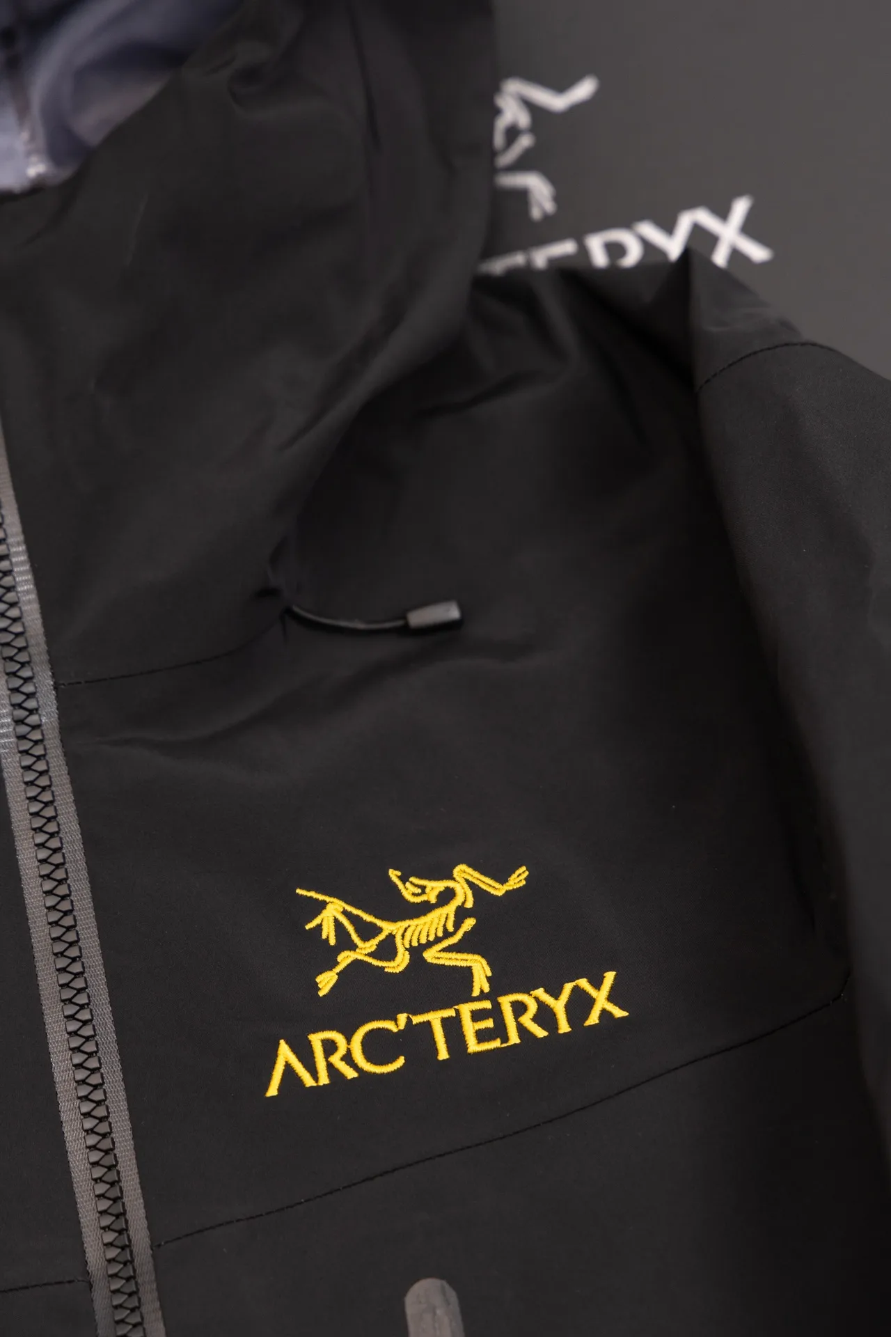 Alpha SV GORE-TEX Hooded Shell Jacket D34020793 — view 3