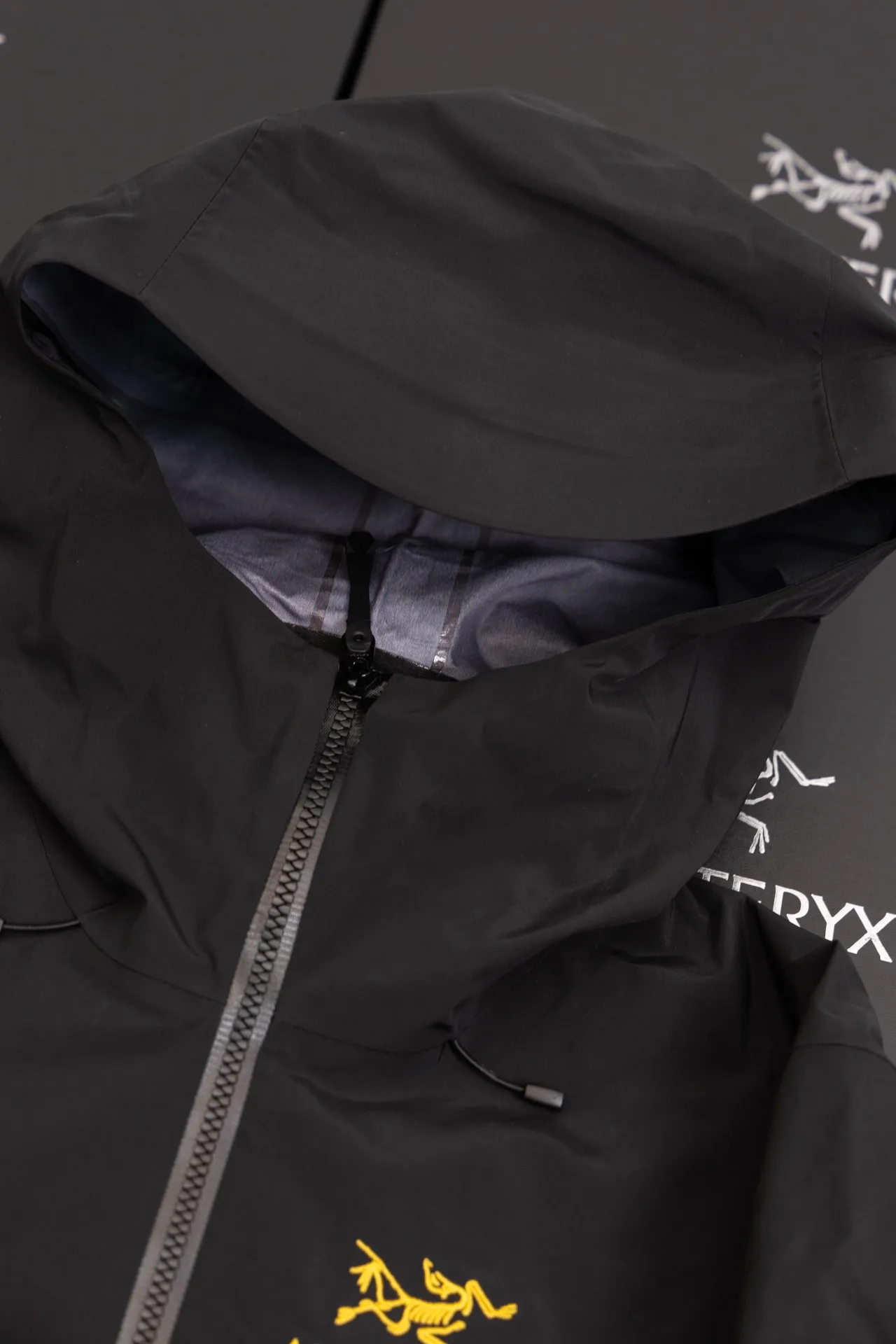 Alpha SV GORE-TEX Hooded Shell Jacket D34020793 — view 5