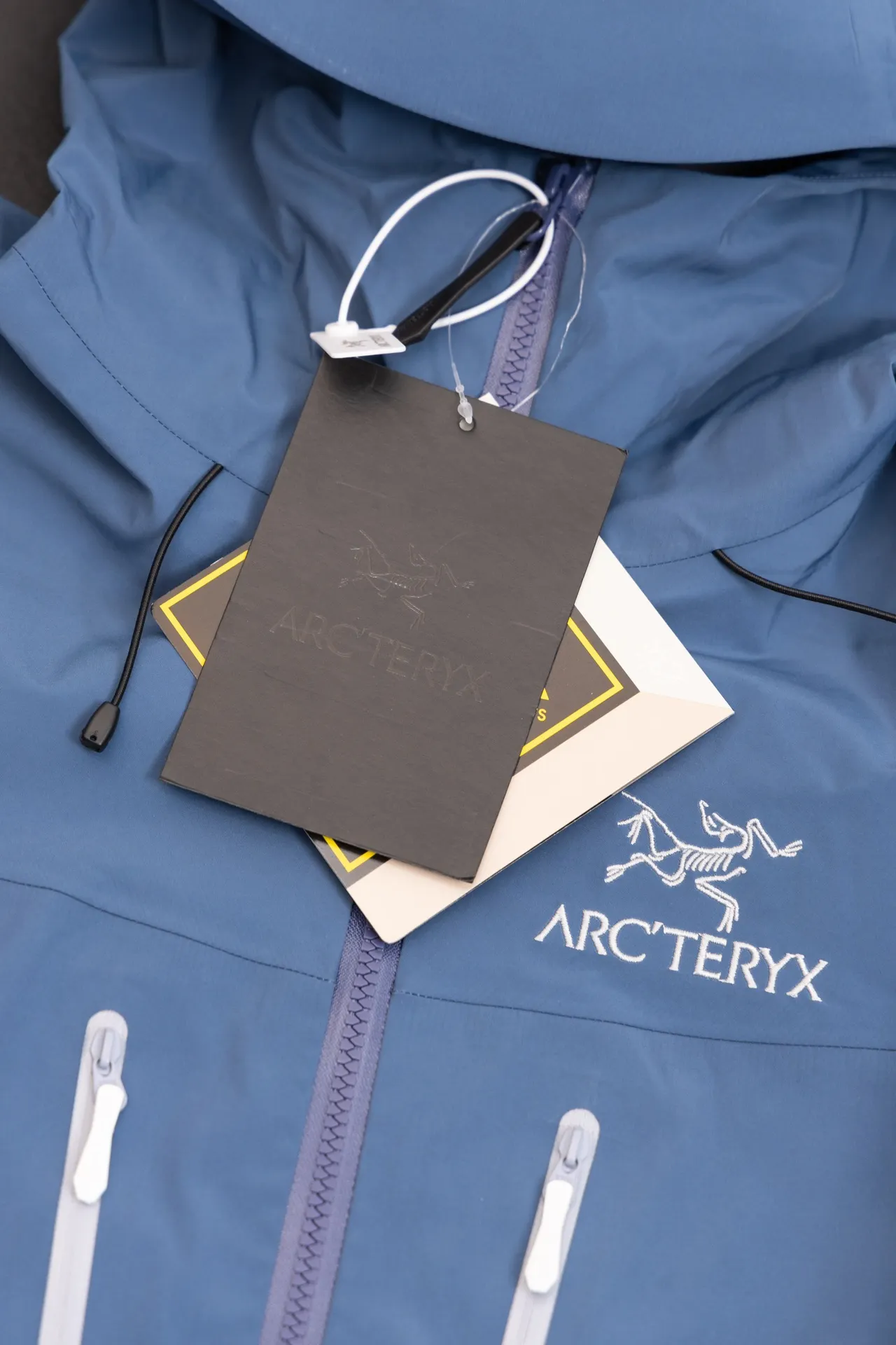 Alpha SV GORE-TEX Hooded Shell Jacket D34020789 — view 4