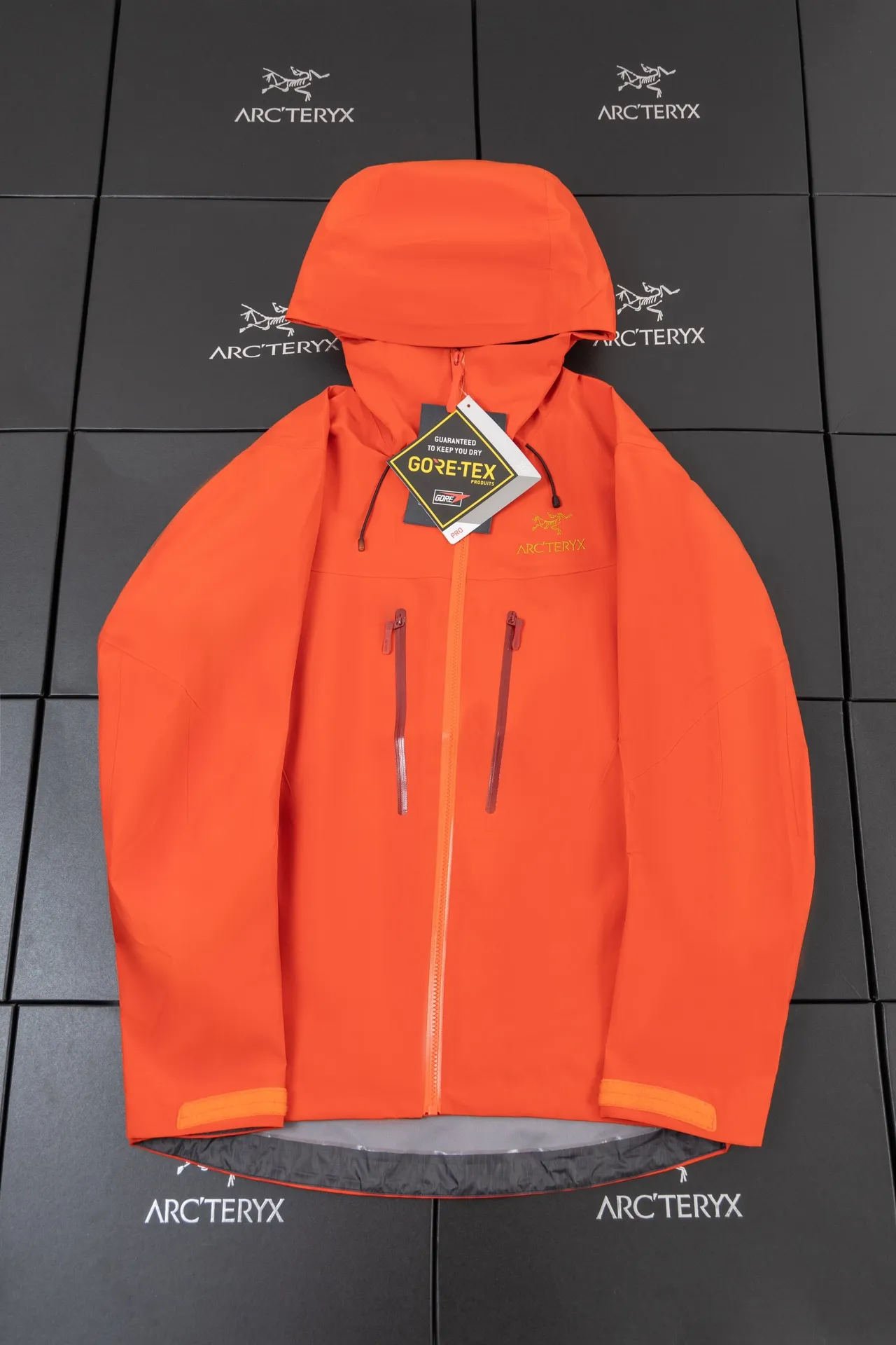 Alpha SV GORE-TEX Hooded Shell Jacket D34020787