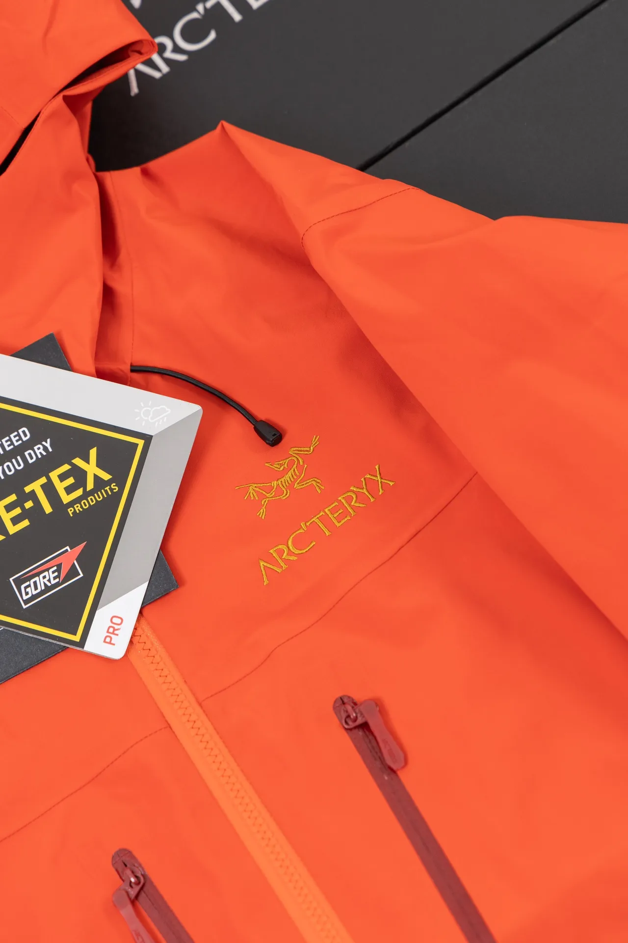 Alpha SV GORE-TEX Hooded Shell Jacket D34020787 — view 2