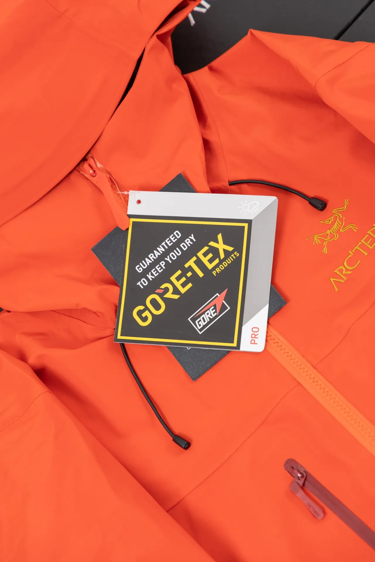 Alpha SV GORE-TEX Hooded Shell Jacket D34020787 — view 10
