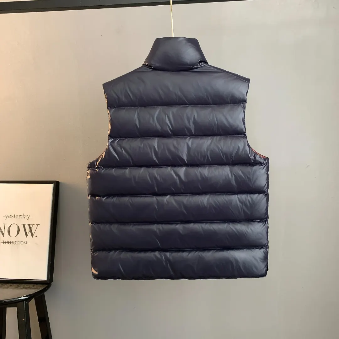 Gui Down-Filled Glossy Gilet D34024722 — view 2