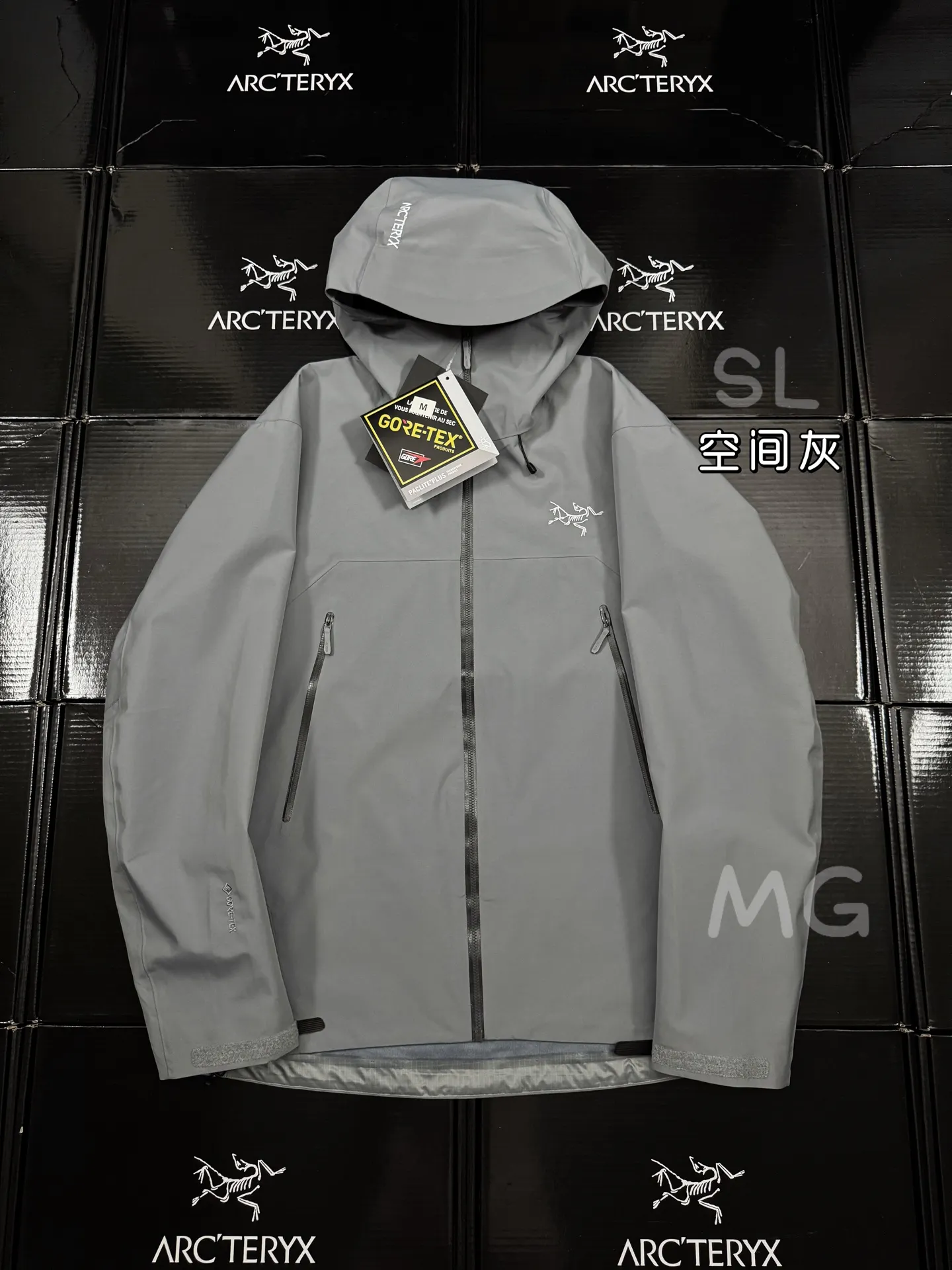 Beta SL GORE-TEX Hooded Shell Jacket D36020663
