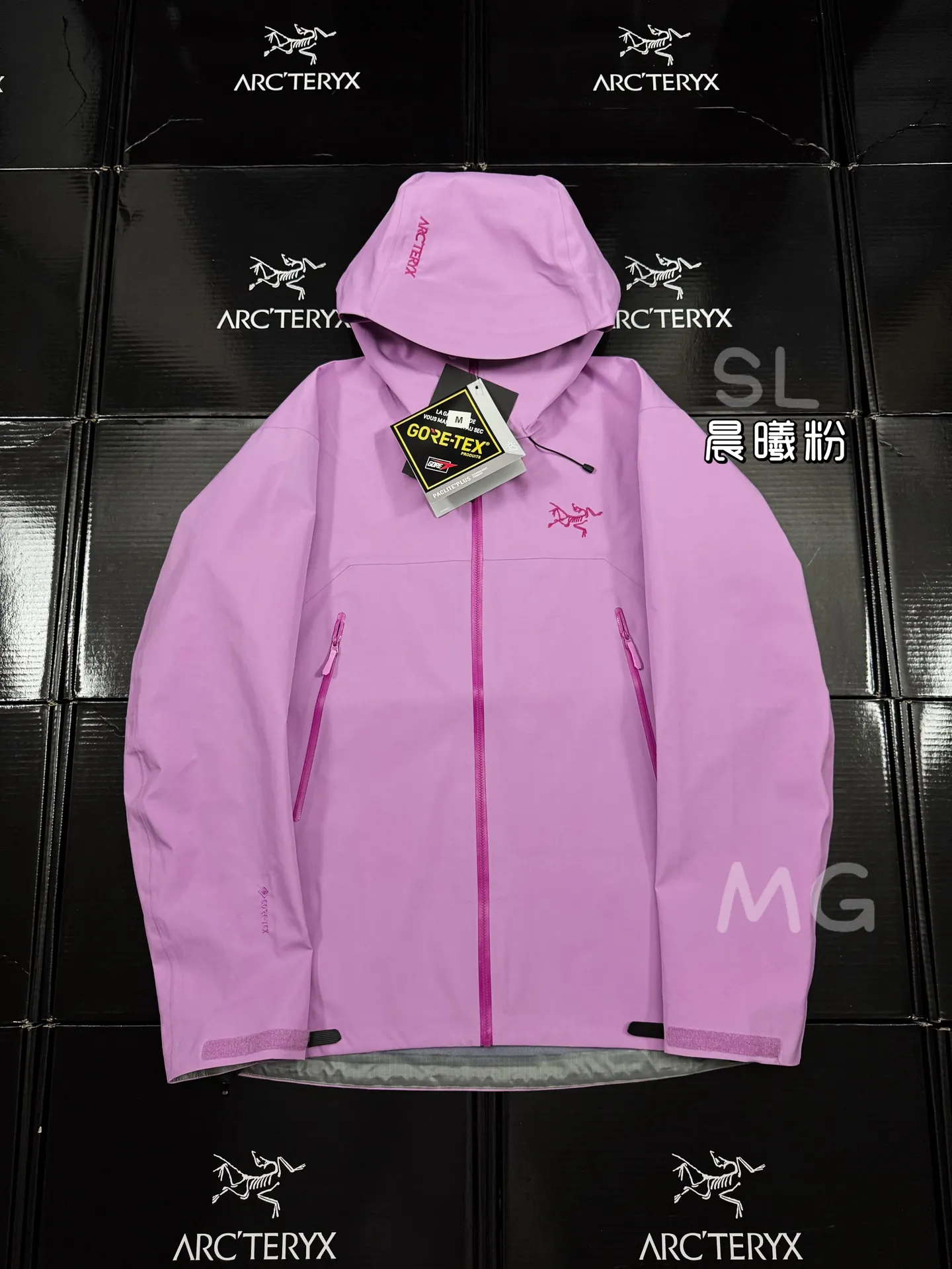Beta SL GORE-TEX Hooded Shell Jacket D36020664