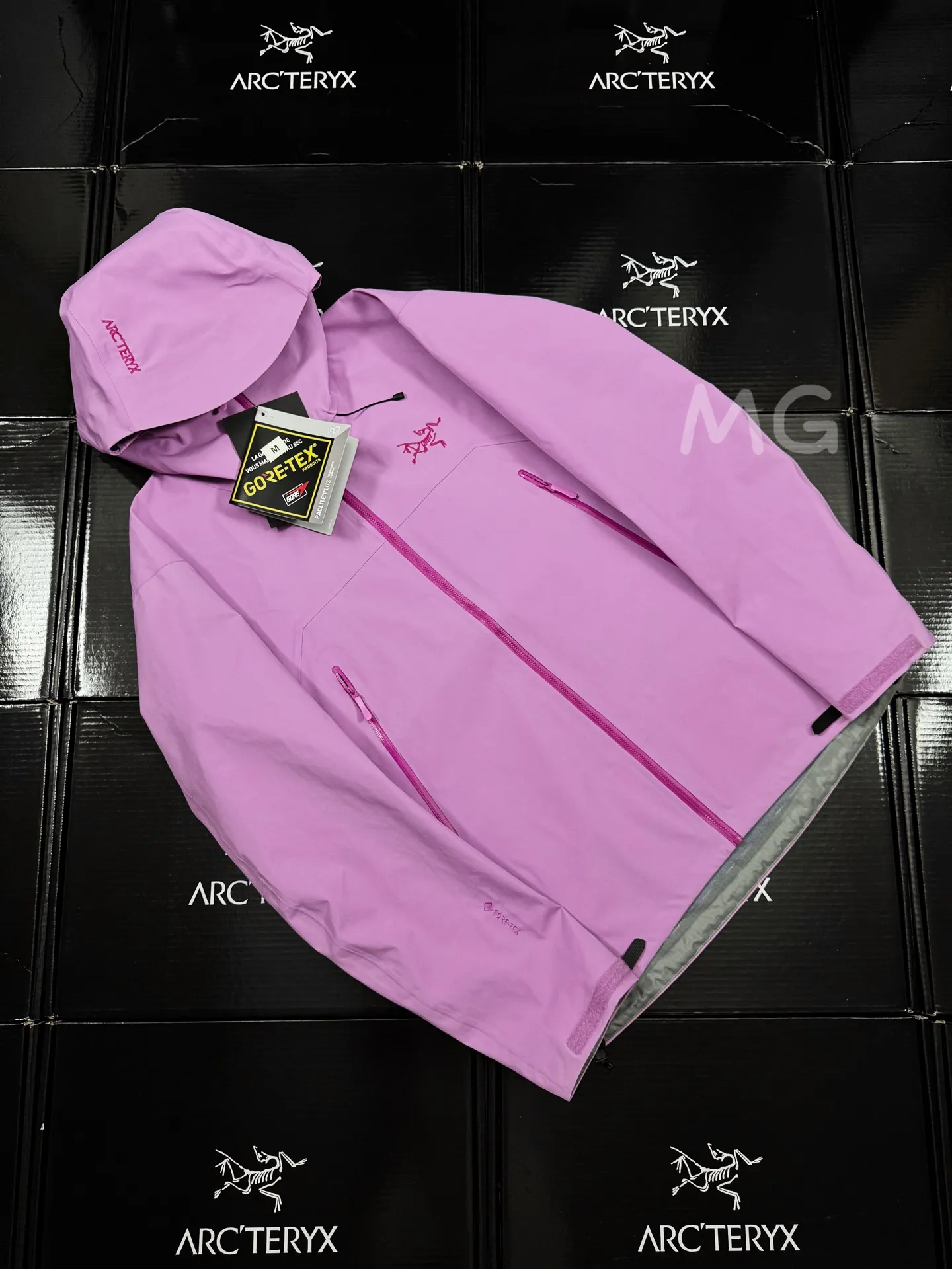 Beta SL GORE-TEX Hooded Shell Jacket D36020664 — view 2