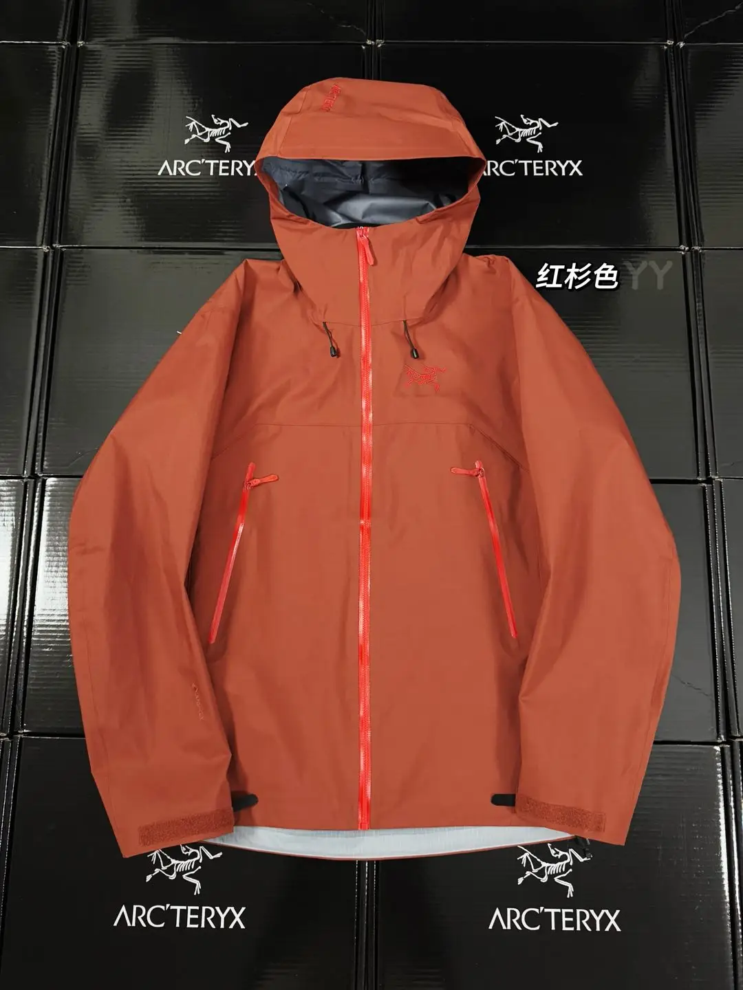 Beta SL GORE-TEX Hooded Shell Jacket D36020659