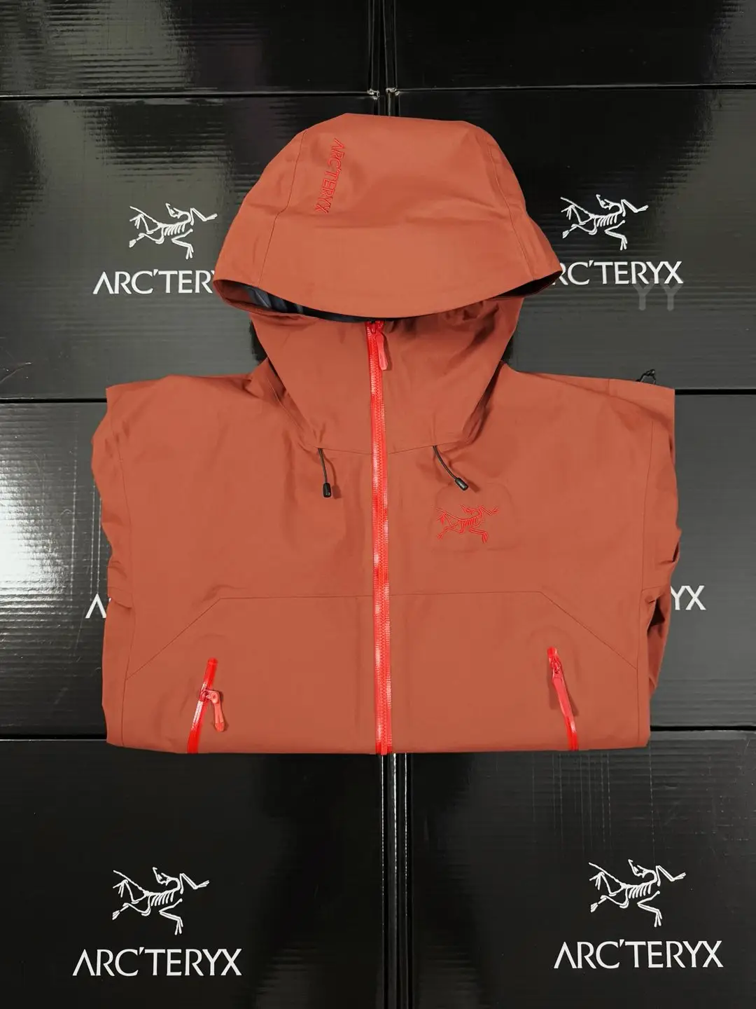 Beta SL GORE-TEX Hooded Shell Jacket D36020659 — view 2
