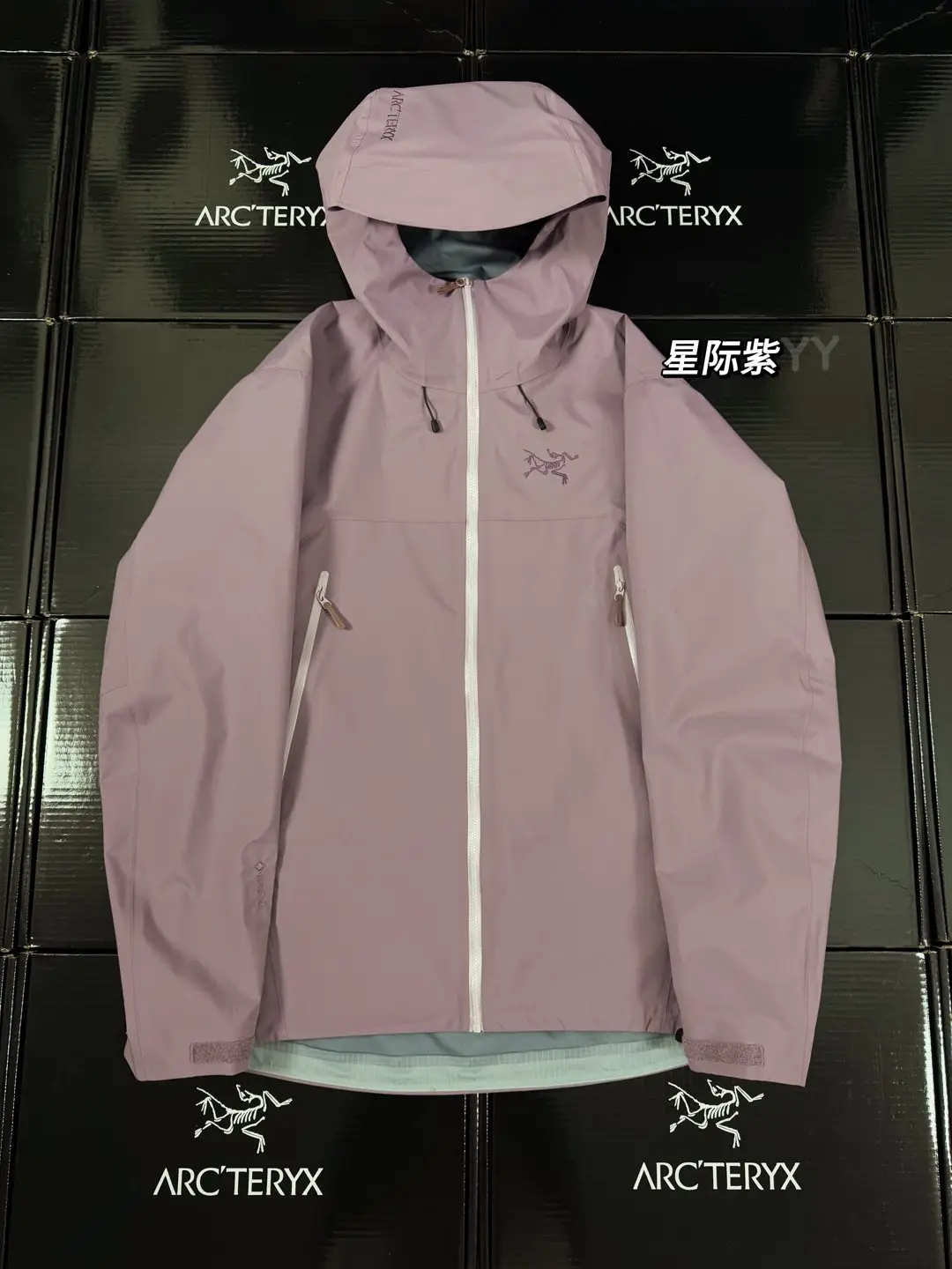 Beta SL GORE-TEX Hooded Shell Jacket D36020666