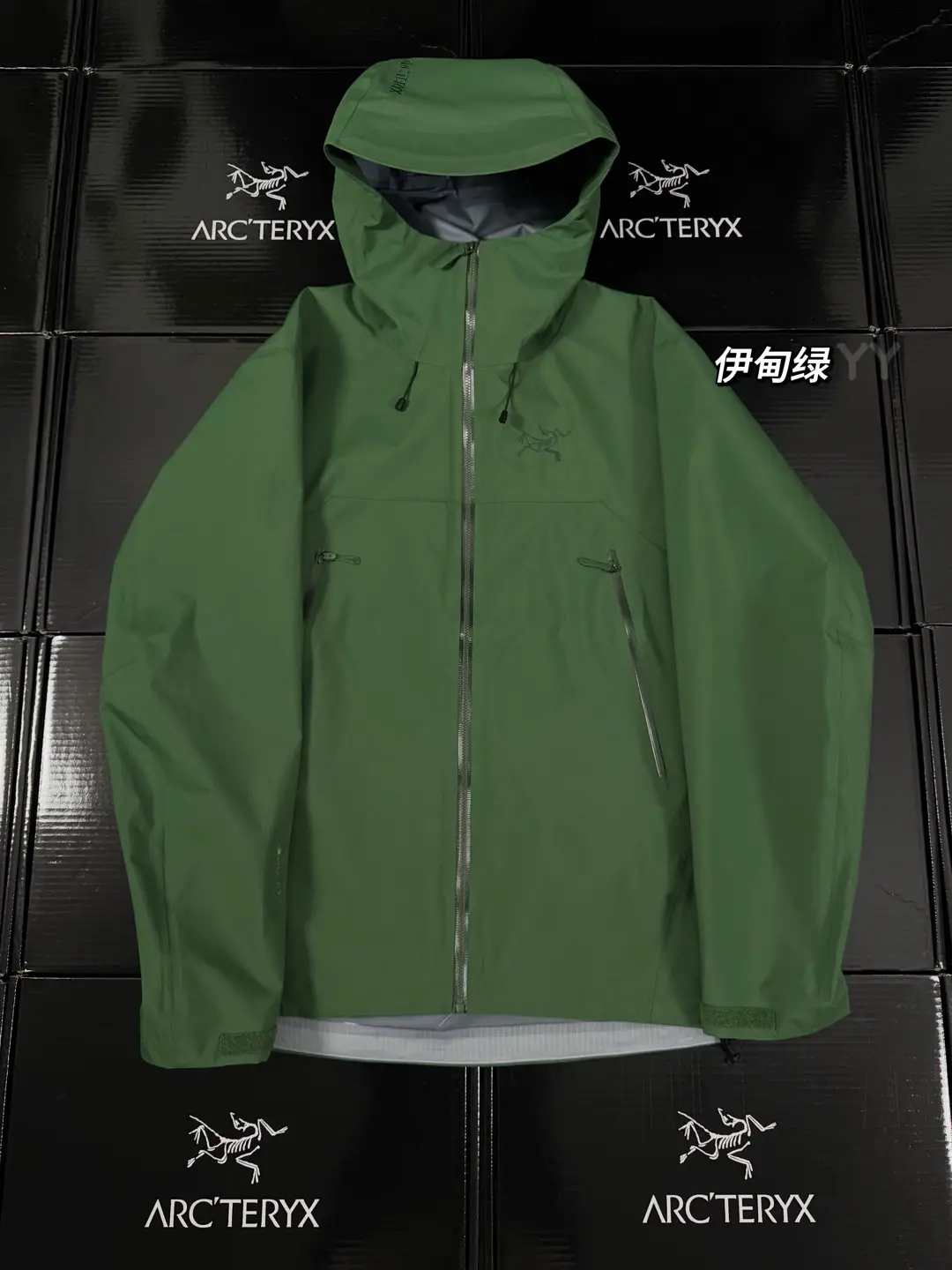 Beta SL GORE-TEX Hooded Shell Jacket D36020667