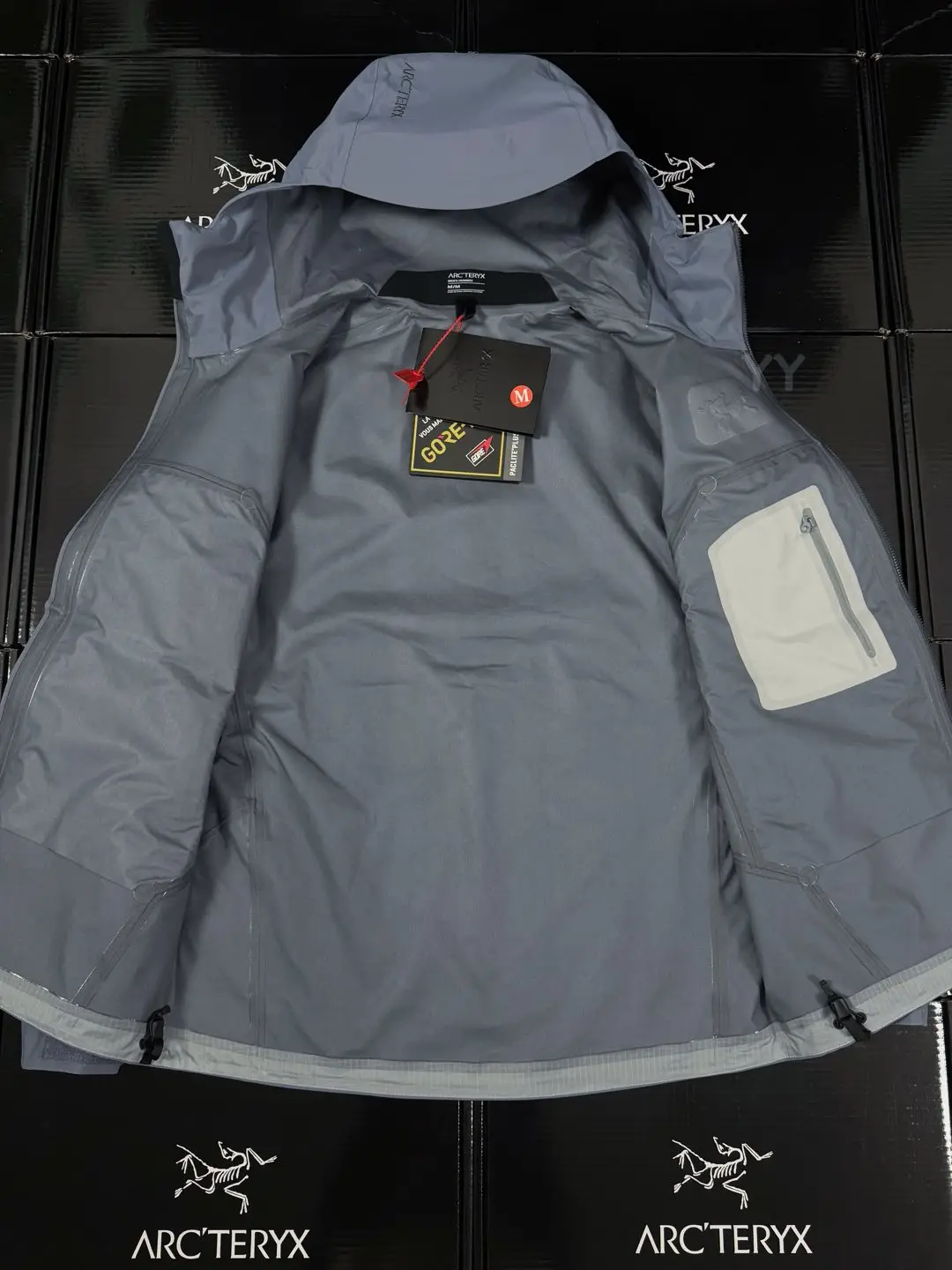Beta SL GORE-TEX Hooded Shell Jacket D36020661 — view 3