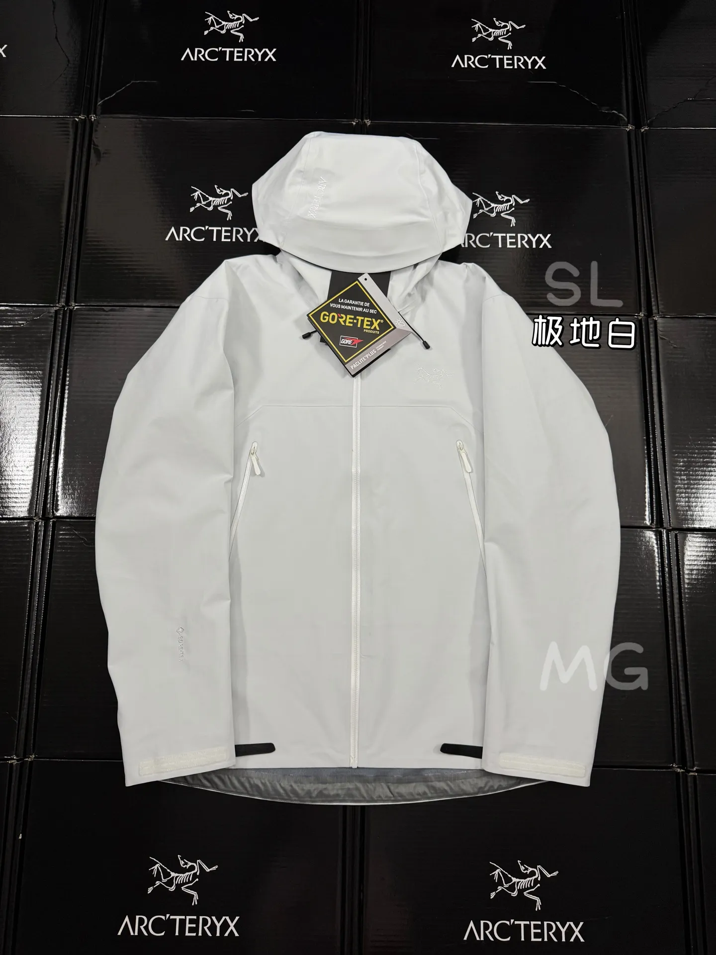 Beta SL GORE-TEX Hooded Shell Jacket D36020662