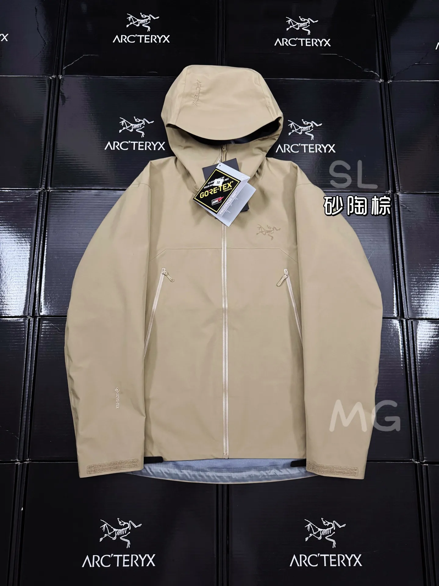 Beta SL GORE-TEX Hooded Shell Jacket D36020665