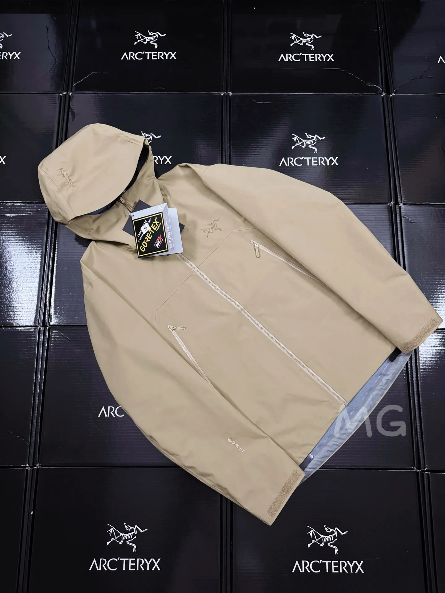 Beta SL GORE-TEX Hooded Shell Jacket D36020665 — view 2