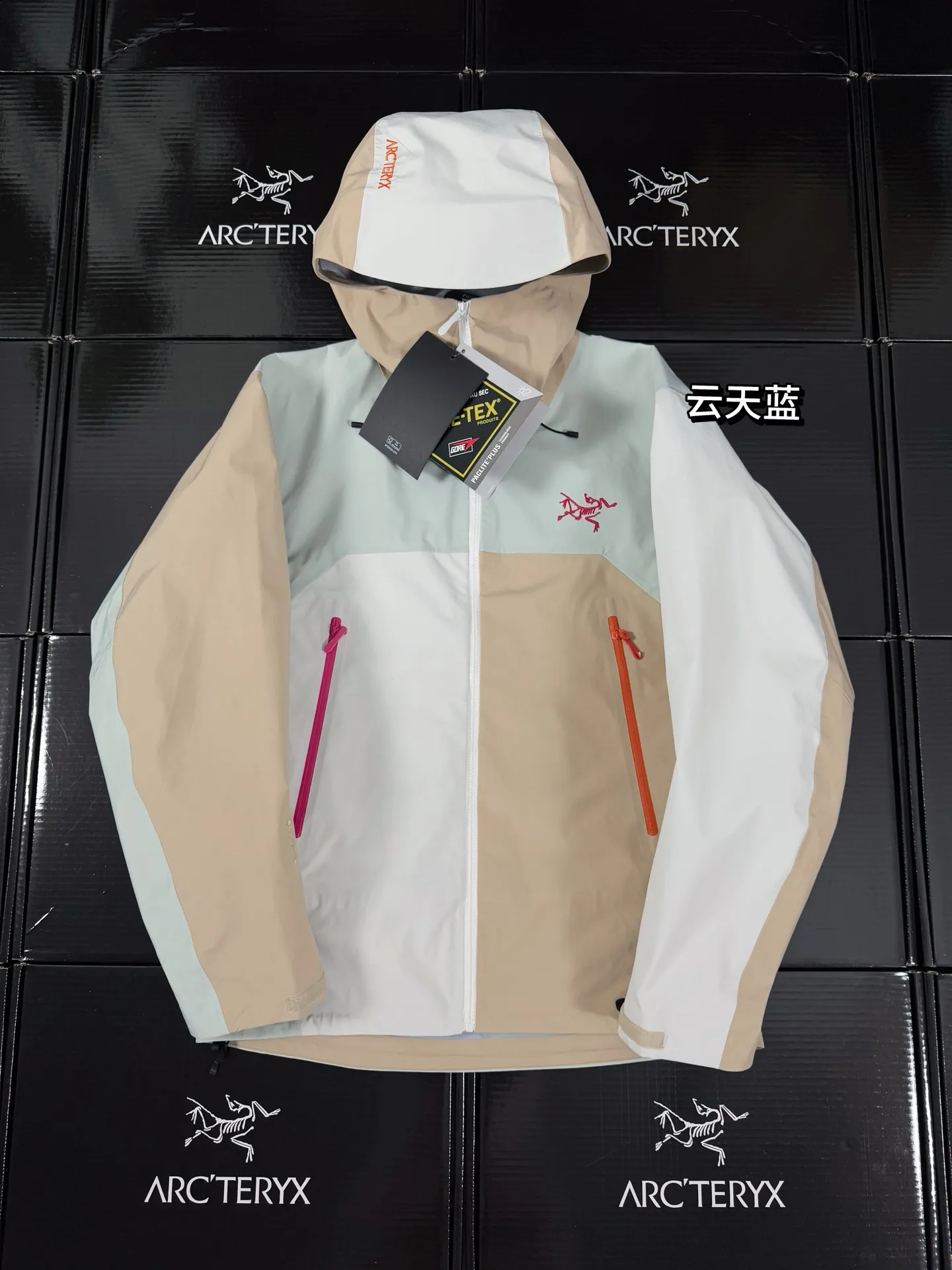 Beta Lightweight Gore-Tex Color-Block Shell Jacket D36020719