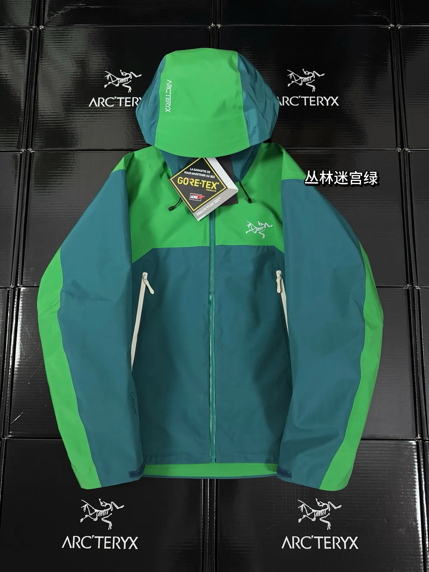 Beta Lightweight GORE-TEX Hooded Shell Jacket D36020720