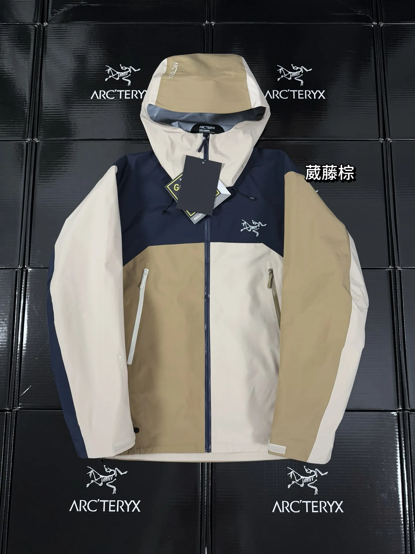 Beta Lightweight GORE-TEX Color-Block Shell Jacket D36020721