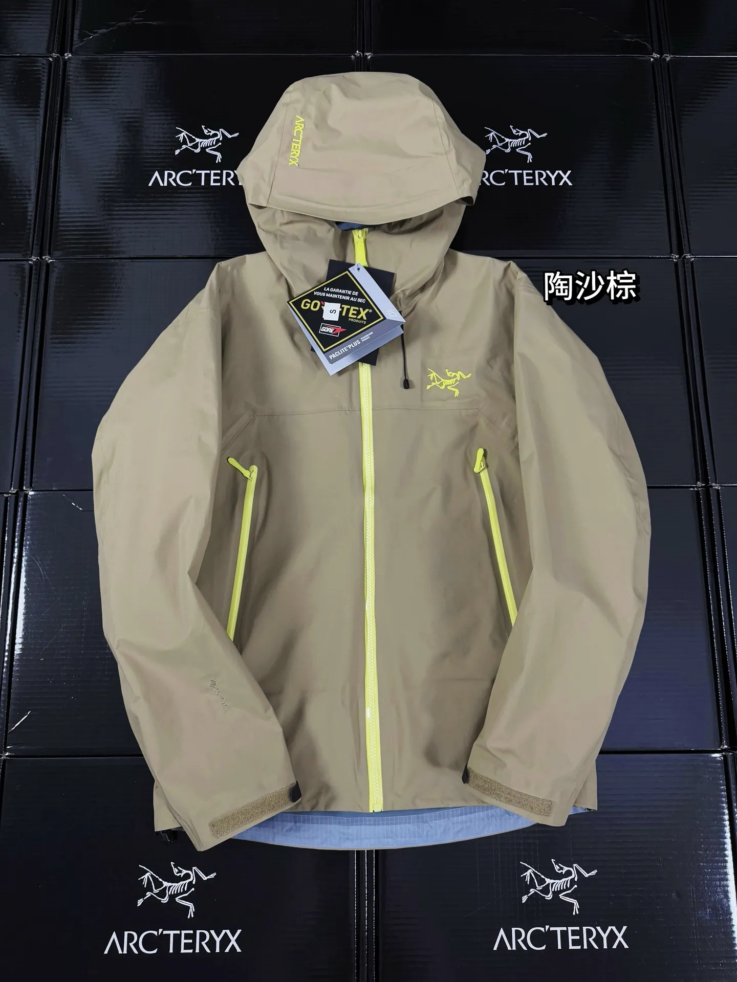 Beta Lightweight GORE-TEX Hooded Shell Jacket D36020712