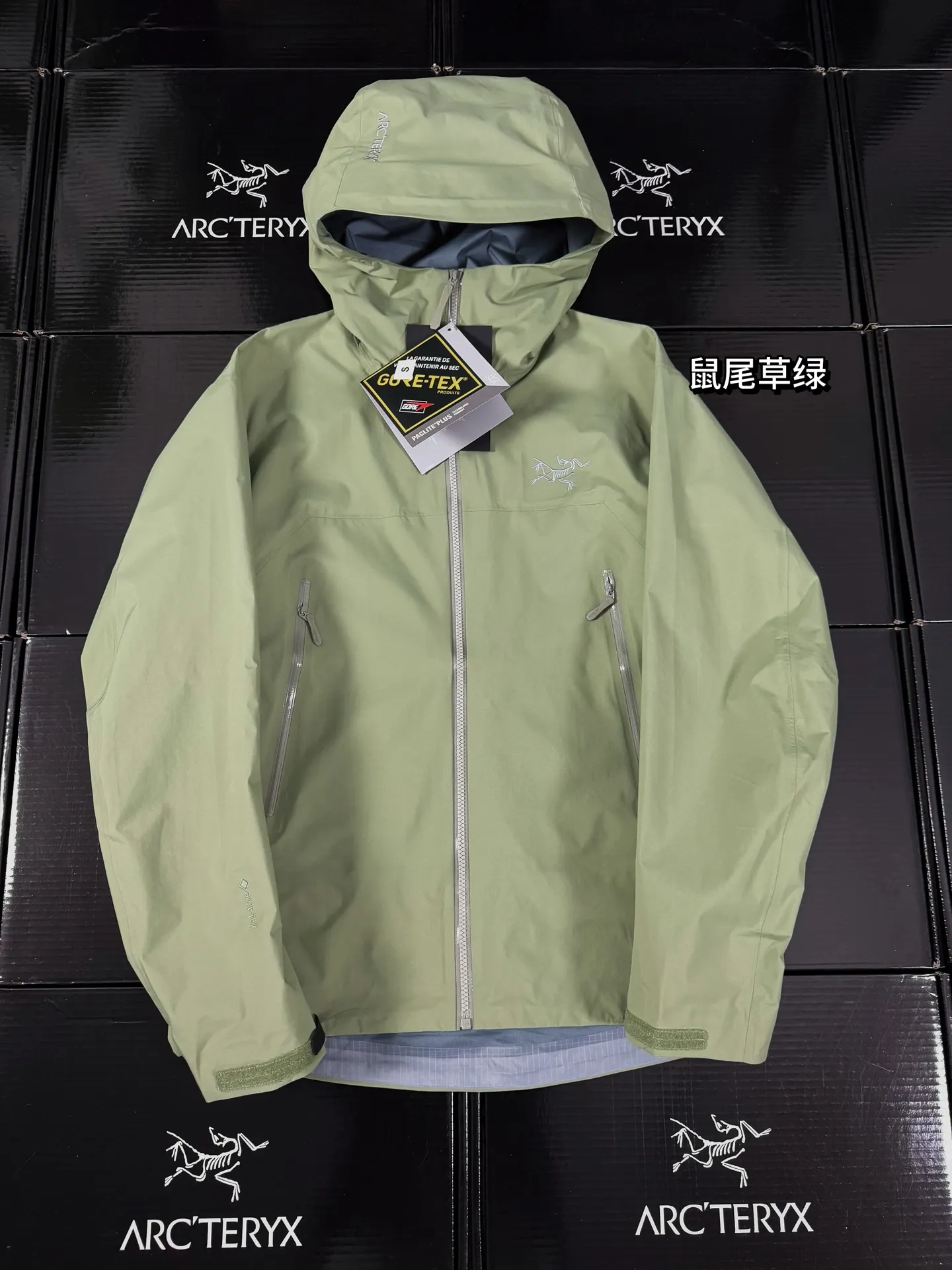 Beta Lightweight GORE-TEX Hooded Shell Jacket D36020713