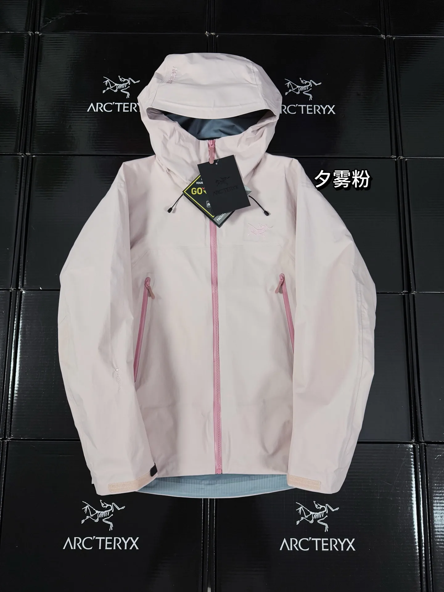 Beta Lightweight GORE-TEX Hooded Jacket D36020717
