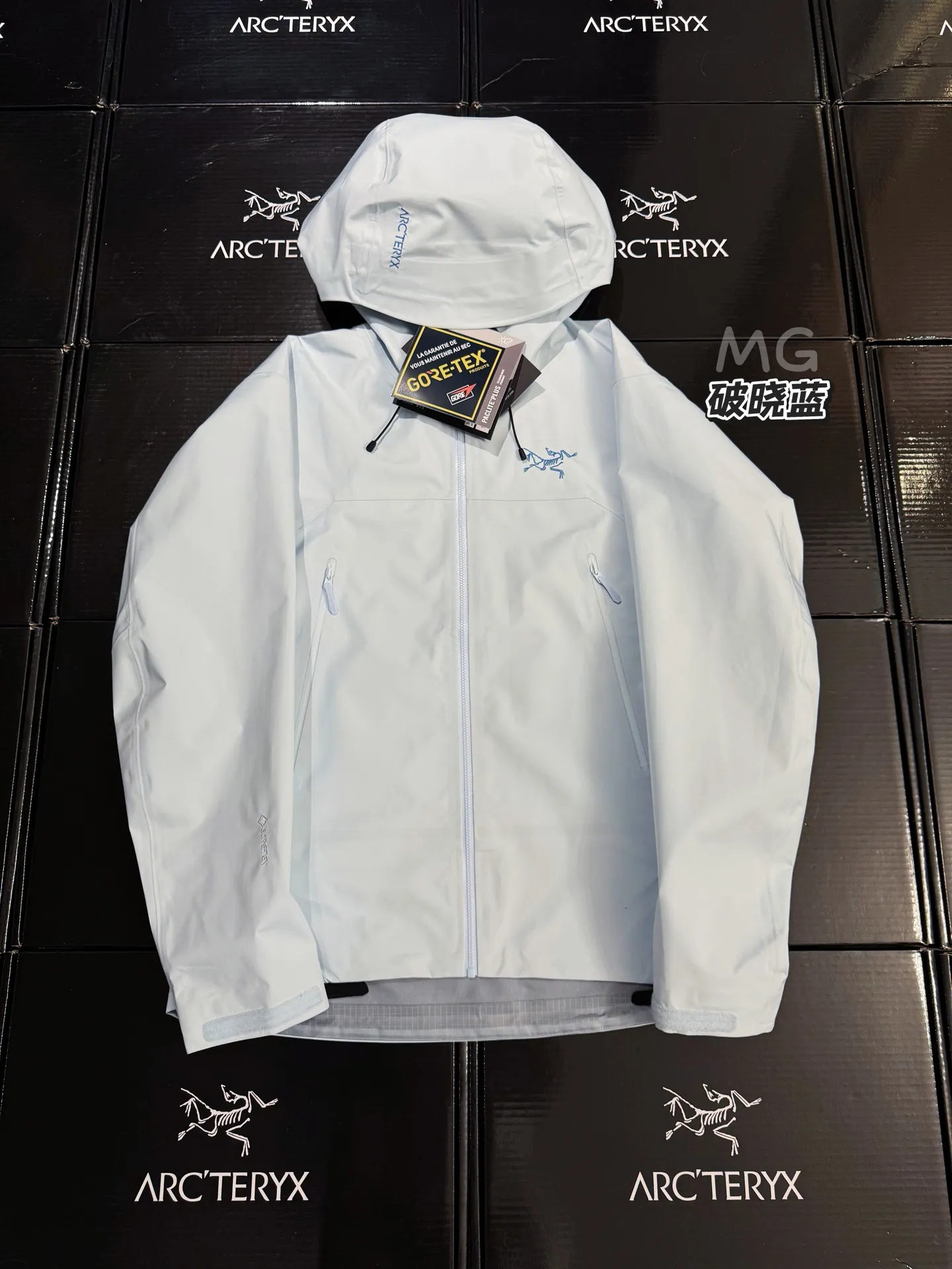 Beta Lightweight GORE-TEX Hooded Jacket D36020711