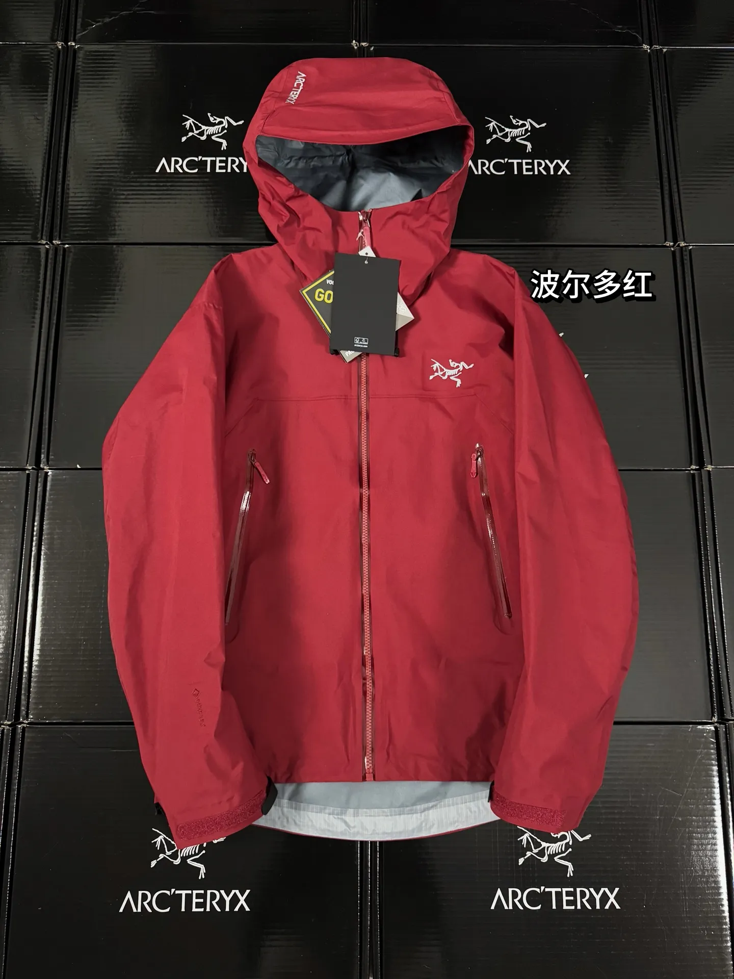 Beta Lightweight GORE-TEX Hooded Shell Jacket D36020714
