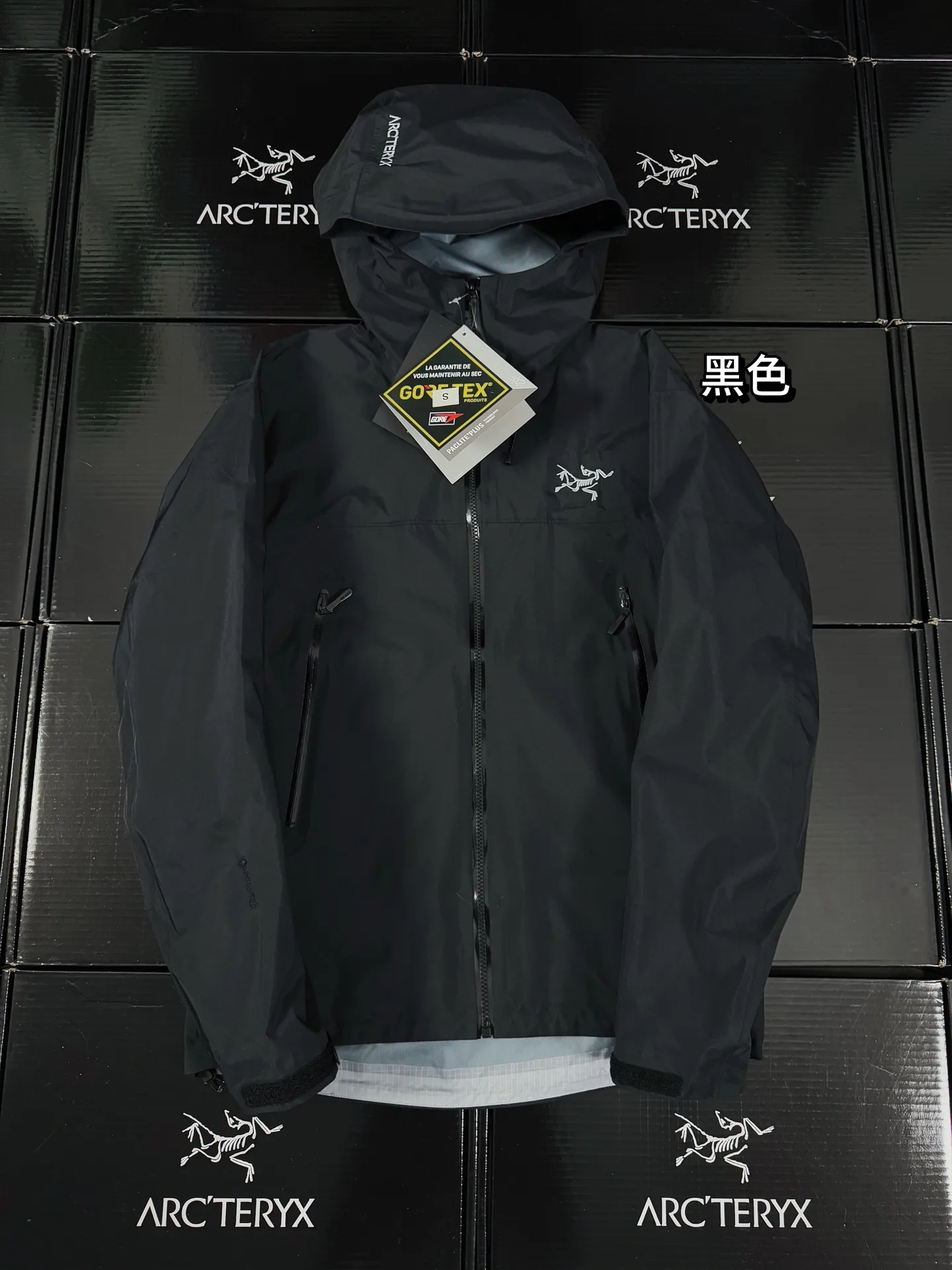 Beta Lightweight GORE-TEX Hooded Jacket D36020718