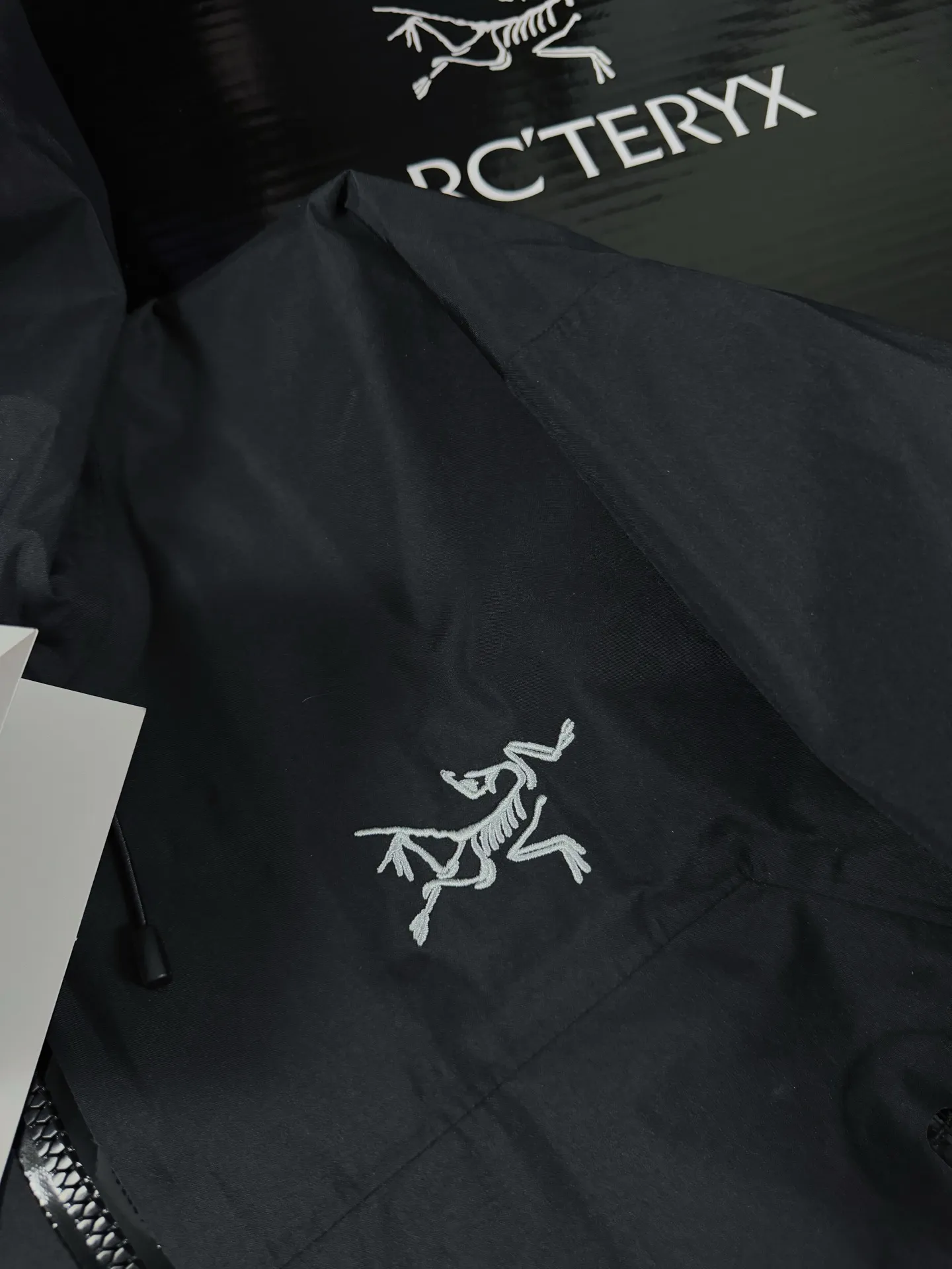 Beta Lightweight GORE-TEX Hooded Jacket D36020718 — view 2