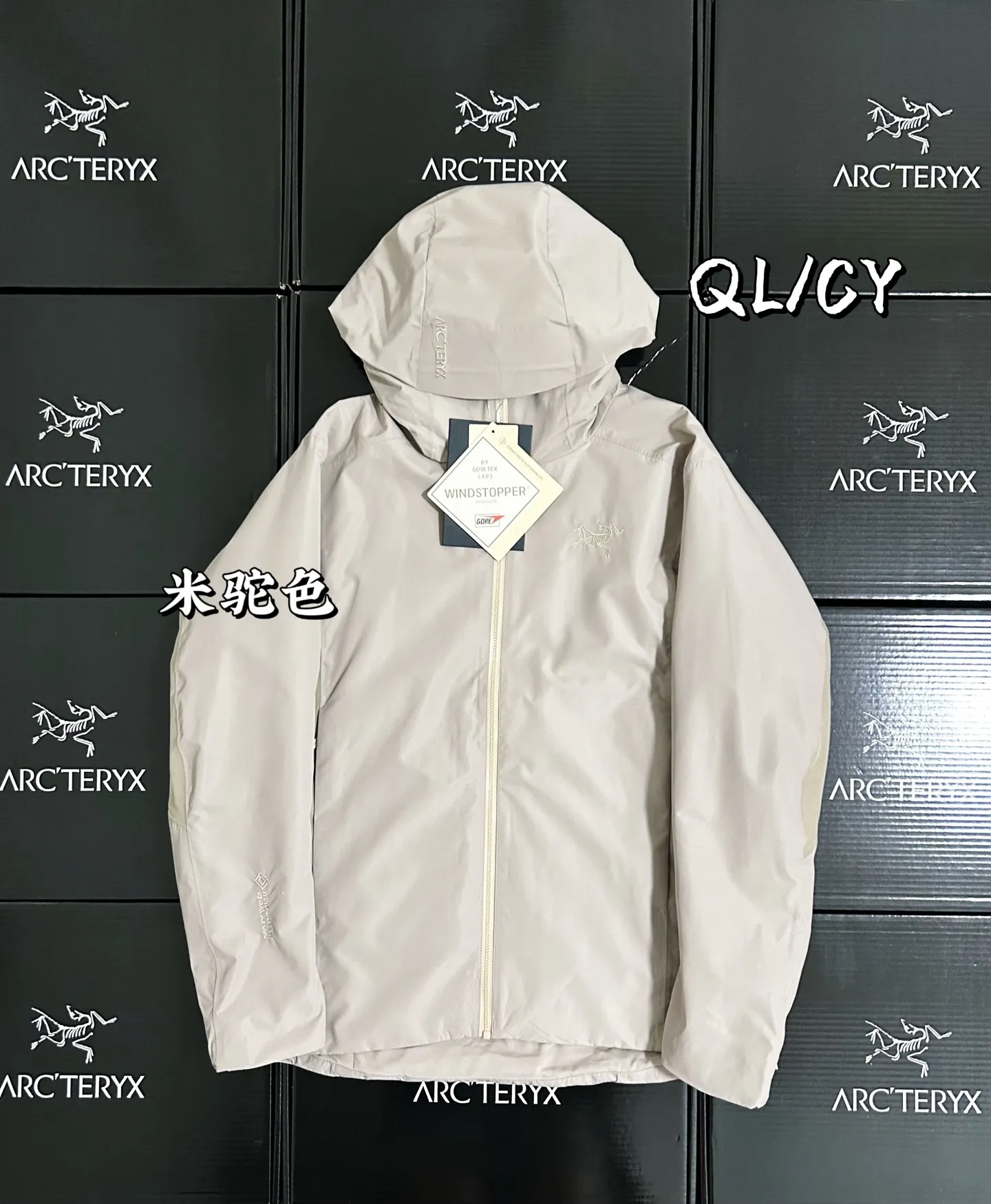 Solano GORE-TEX Insulated Hooded Jacket D36020866