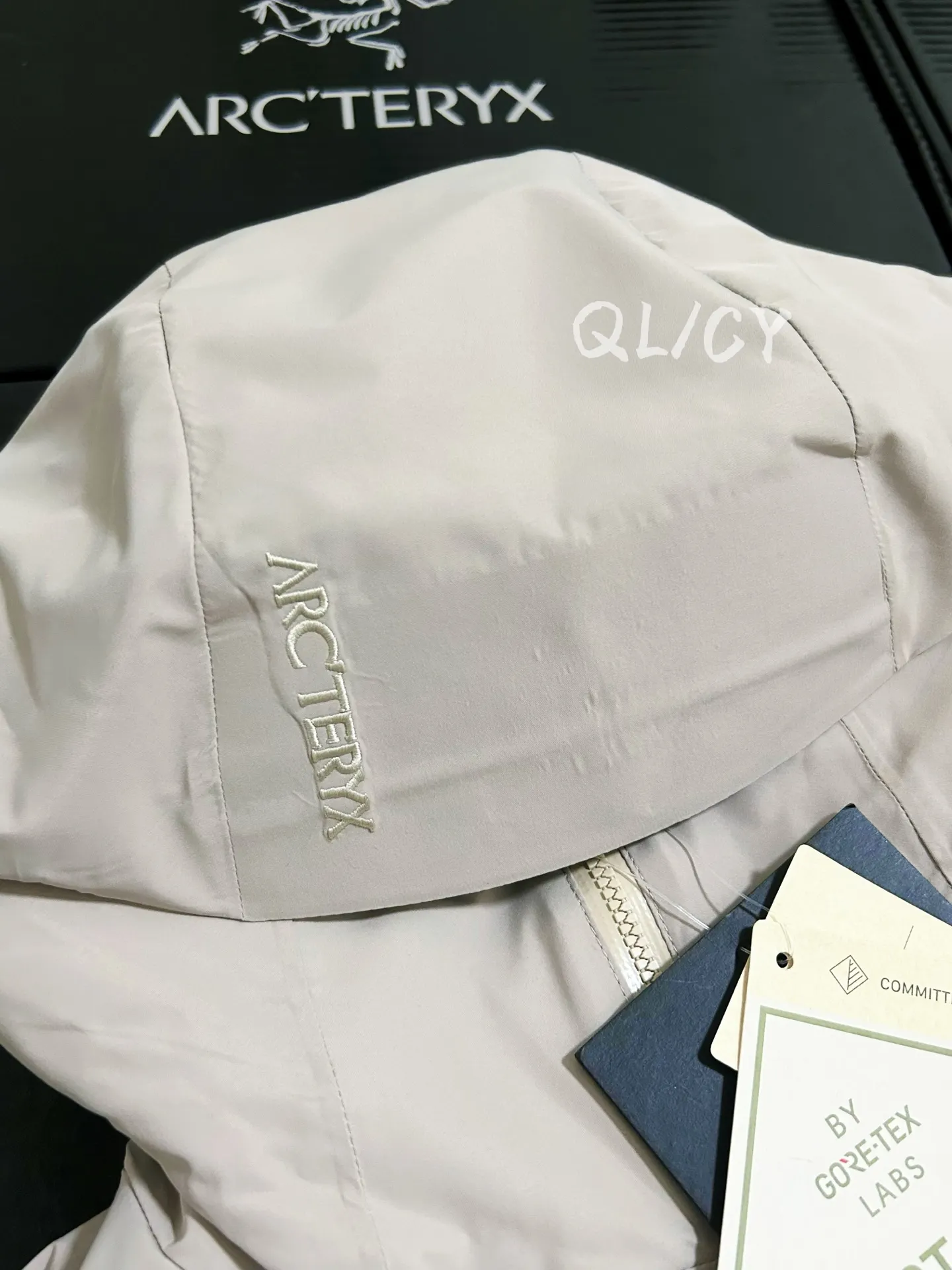 Solano GORE-TEX Insulated Hooded Jacket D36020866 — view 4