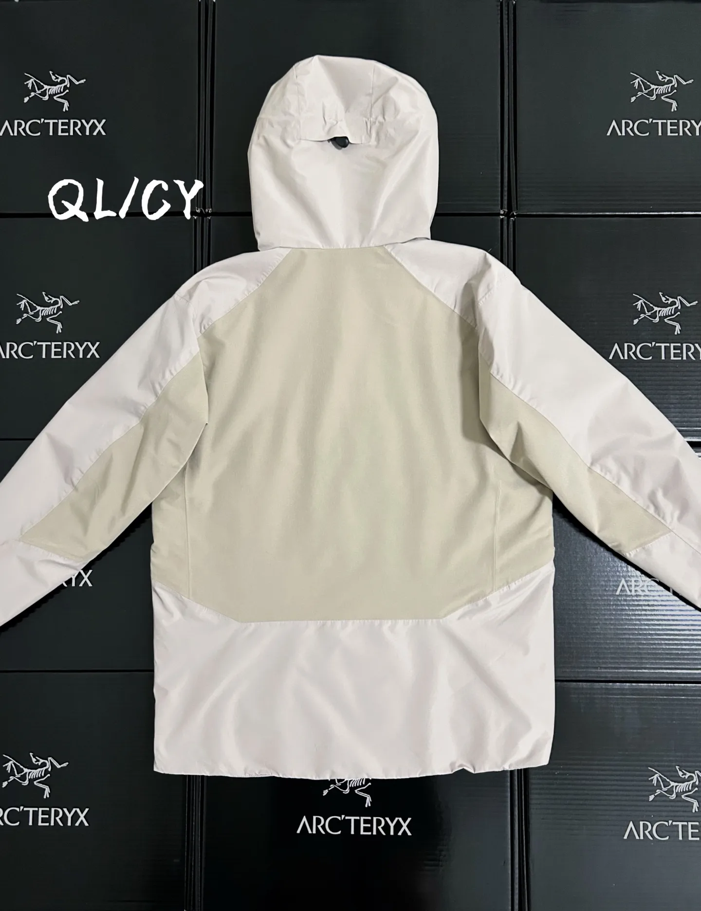 Solano GORE-TEX Insulated Hooded Jacket D36020866 — view 9