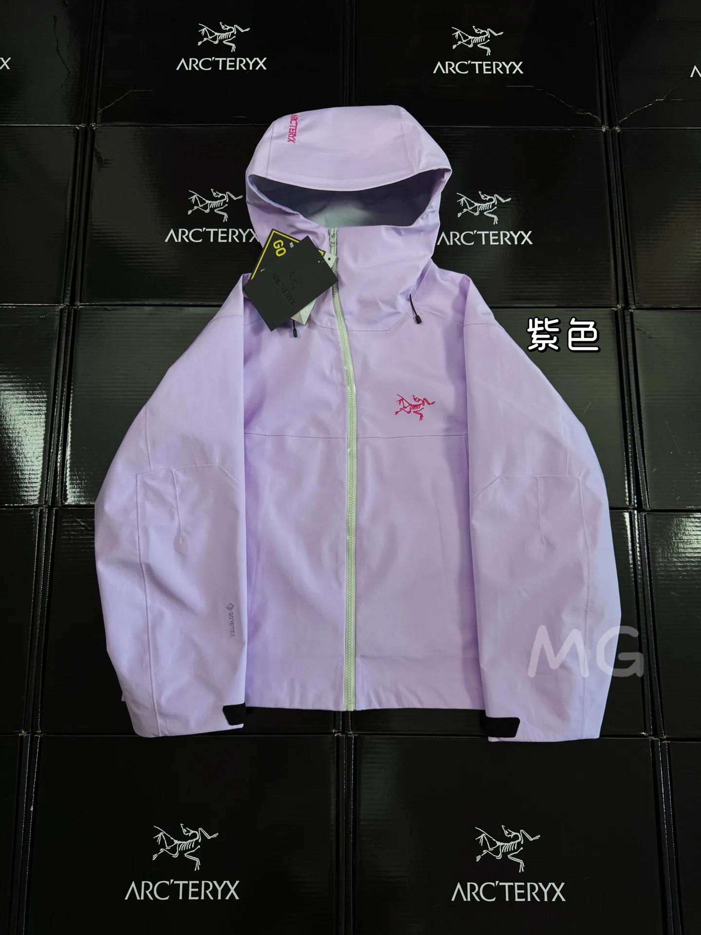 Arc'teryx Sidewinder GORE-TEX Shell Jacket D38020608