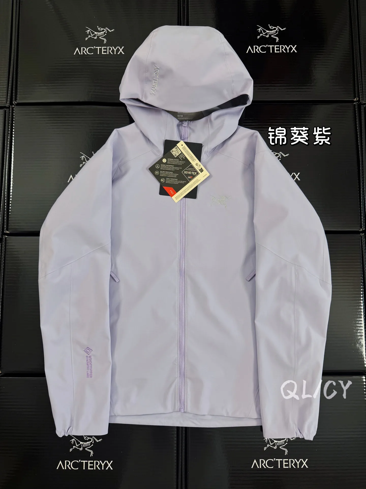 Saydi Hoody GORE-TEX Softshell Jacket D40020907