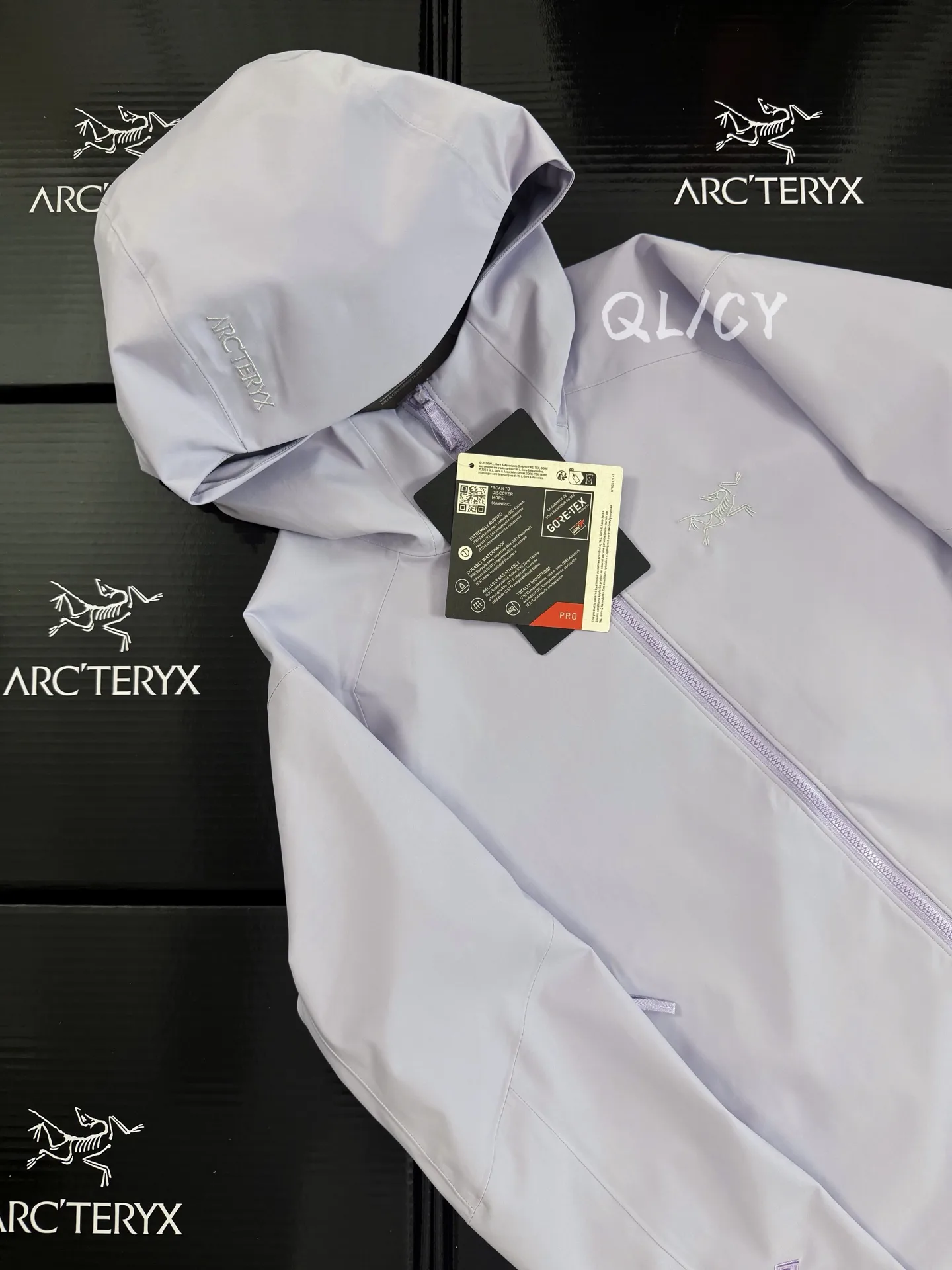 Saydi Hoody GORE-TEX Softshell Jacket D40020907 — view 8
