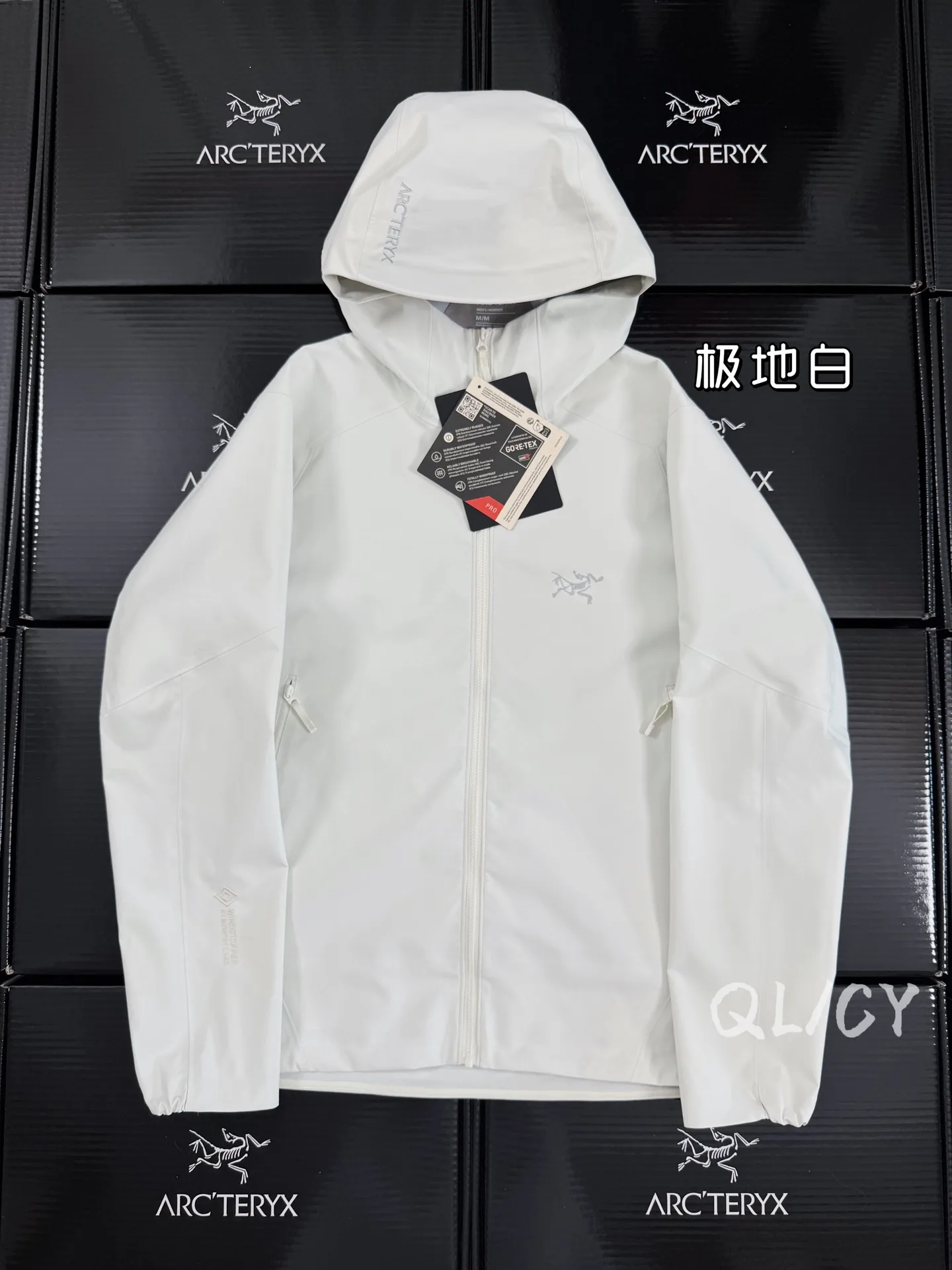Saydi Hoody GORE-TEX Softshell Jacket D40020905