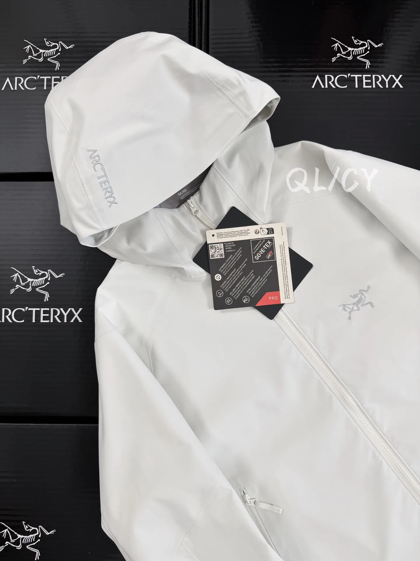 Saydi Hoody GORE-TEX Softshell Jacket D40020905 — view 7