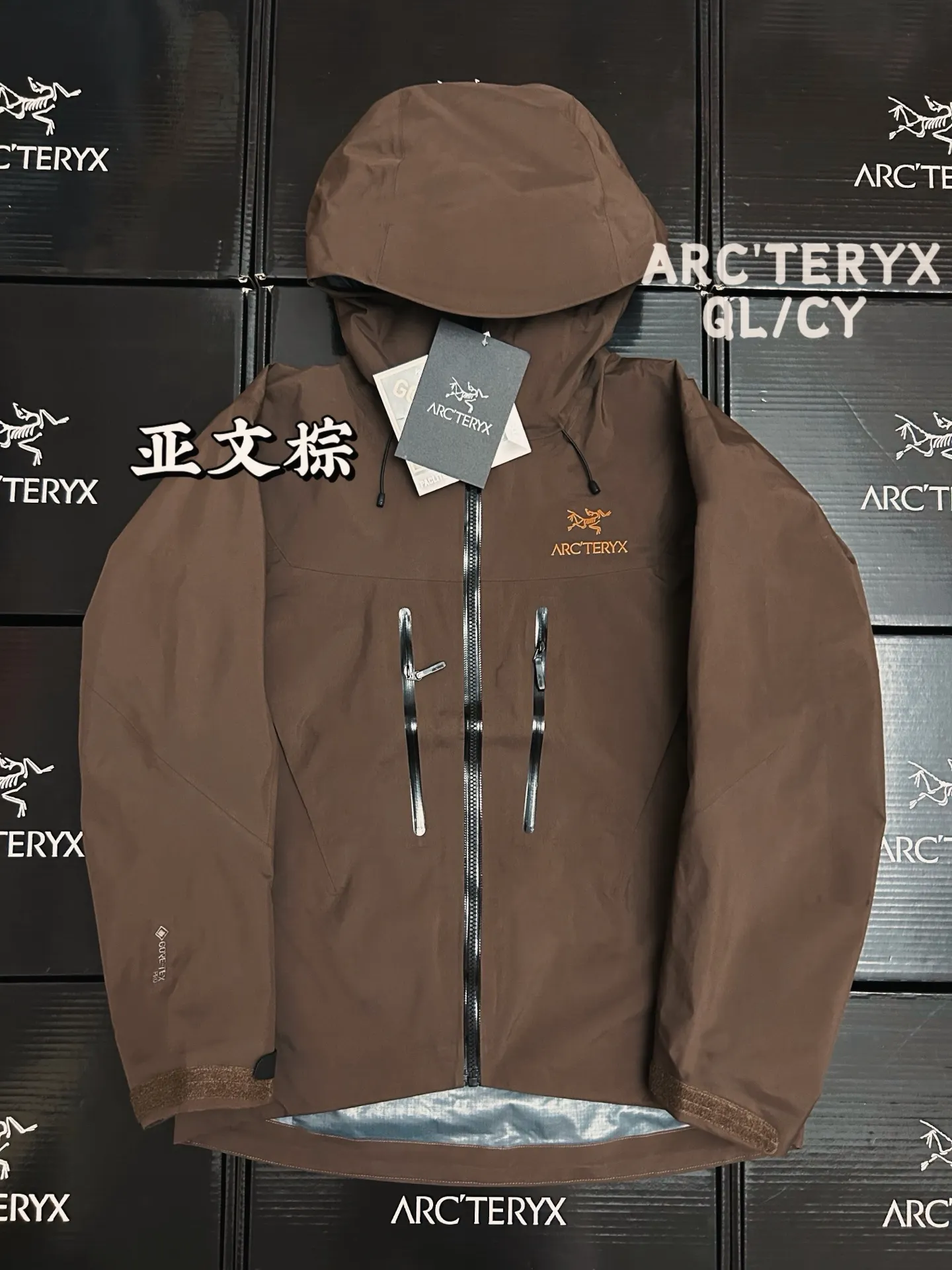 Alpha SV GORE-TEX Hooded Shell Jacket D42020883