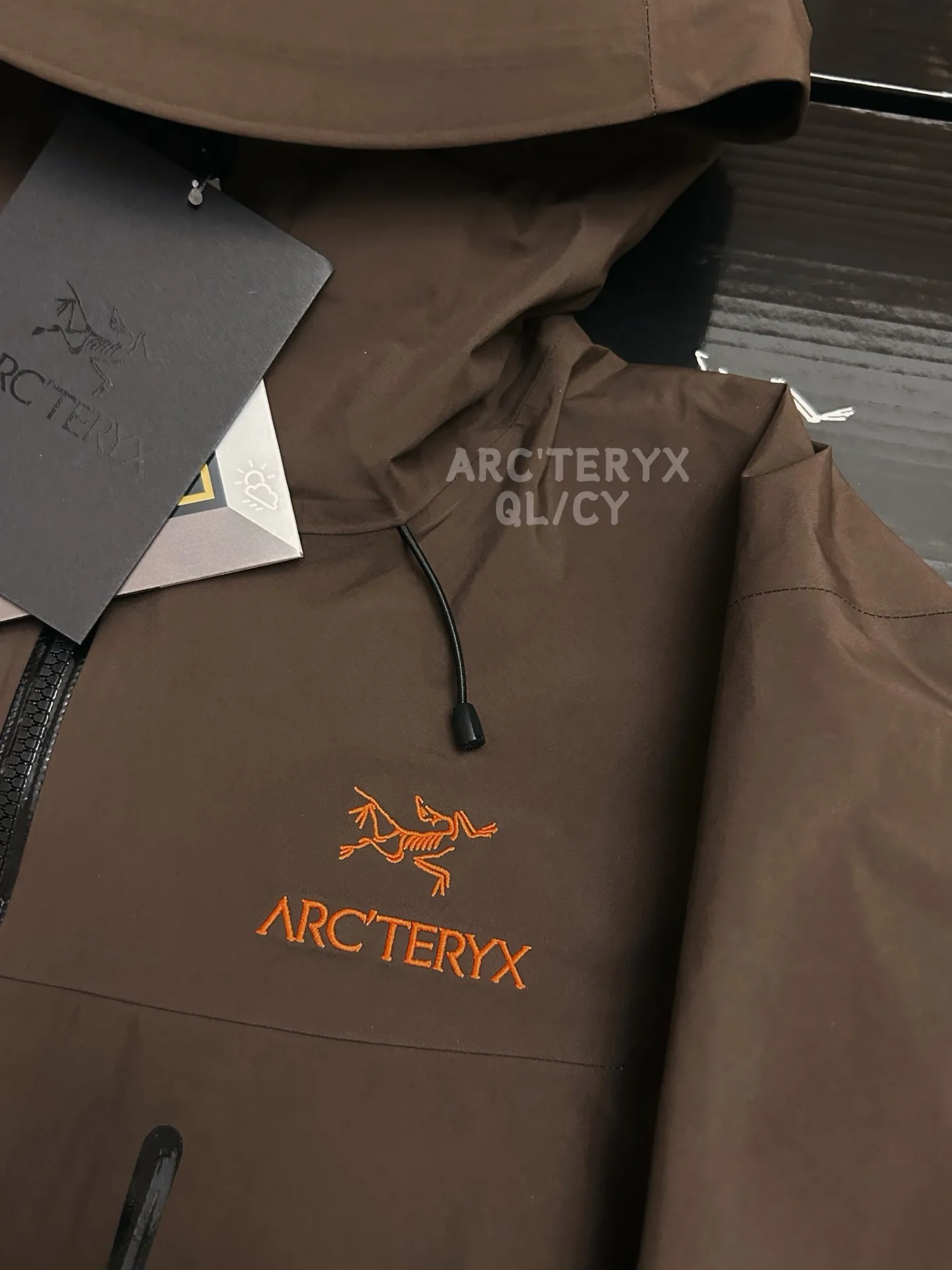 Alpha SV GORE-TEX Hooded Shell Jacket D42020883 — view 4