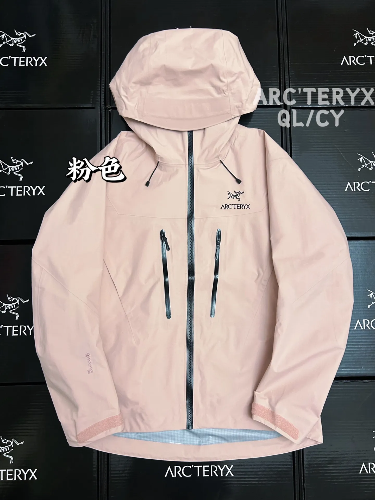 Alpha SV GORE-TEX Hooded Shell Jacket D42020880