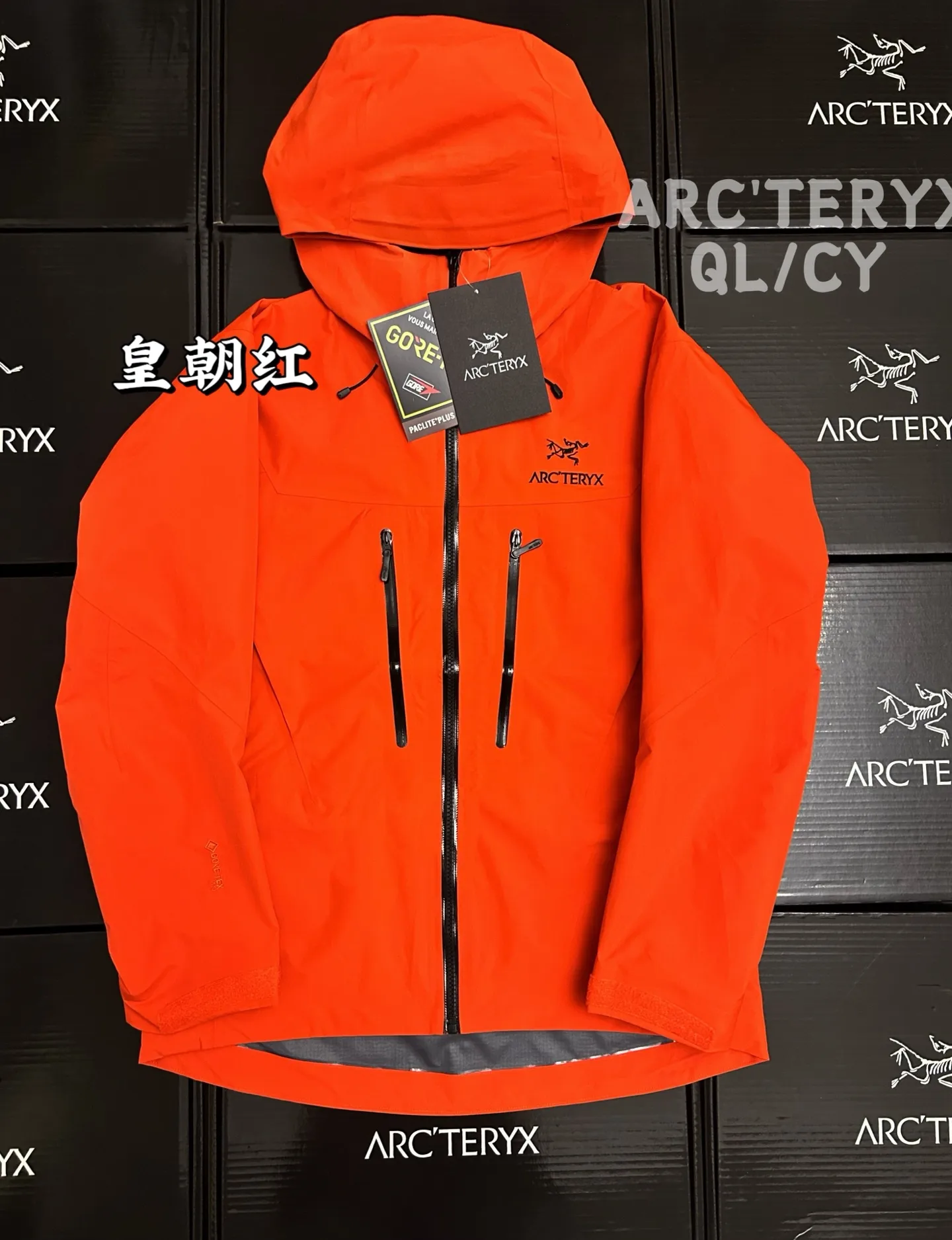 Alpha SV GORE-TEX Hooded Shell Jacket D42020879