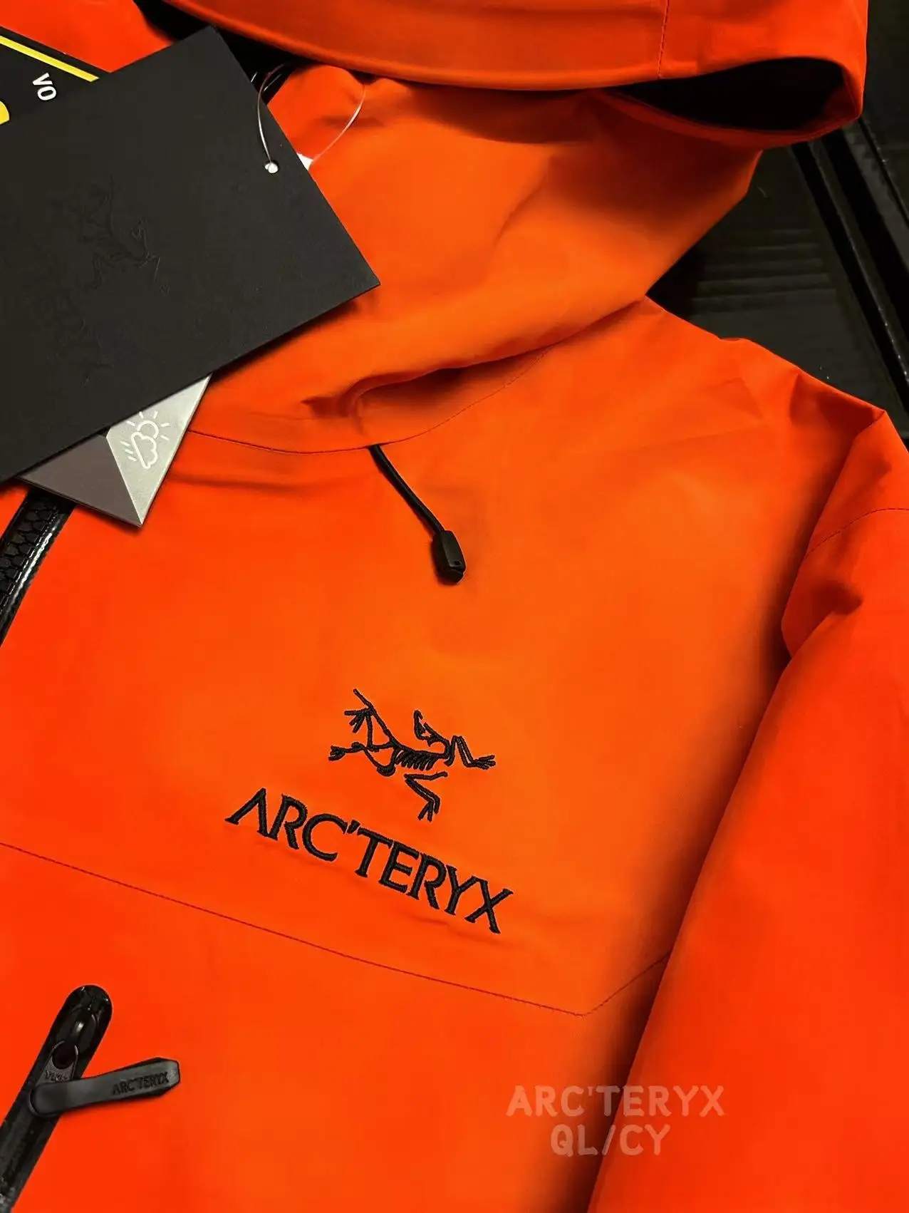 Alpha SV GORE-TEX Hooded Shell Jacket D42020879 — view 3