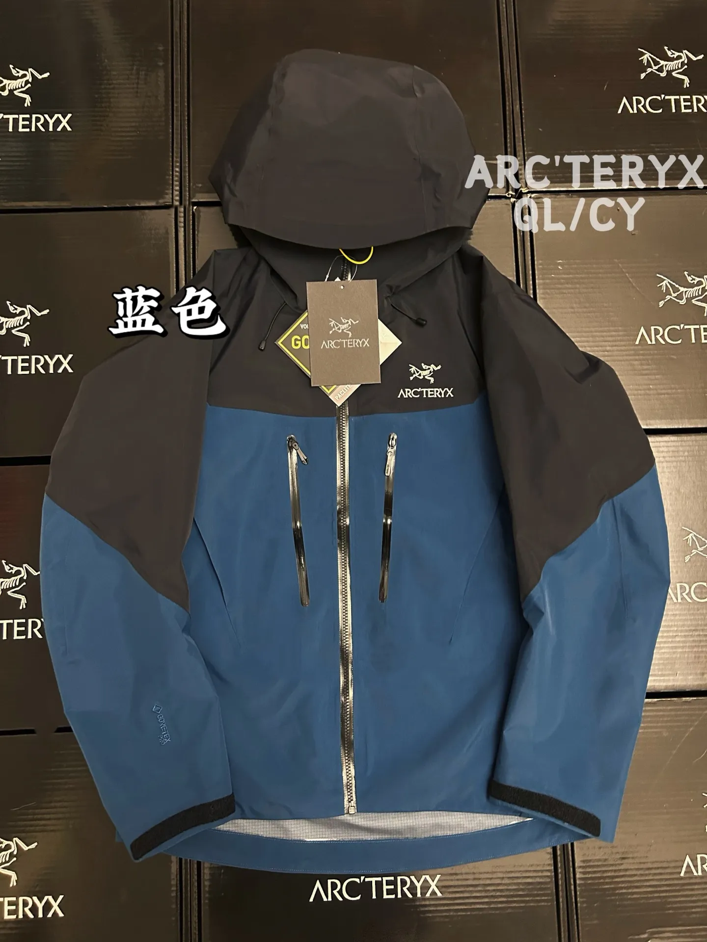 Alpha SV GORE-TEX Hooded Shell Jacket D42020881