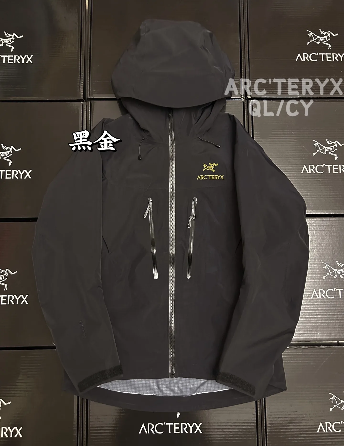 Alpha SV GORE-TEX Hooded Shell Jacket D42020882