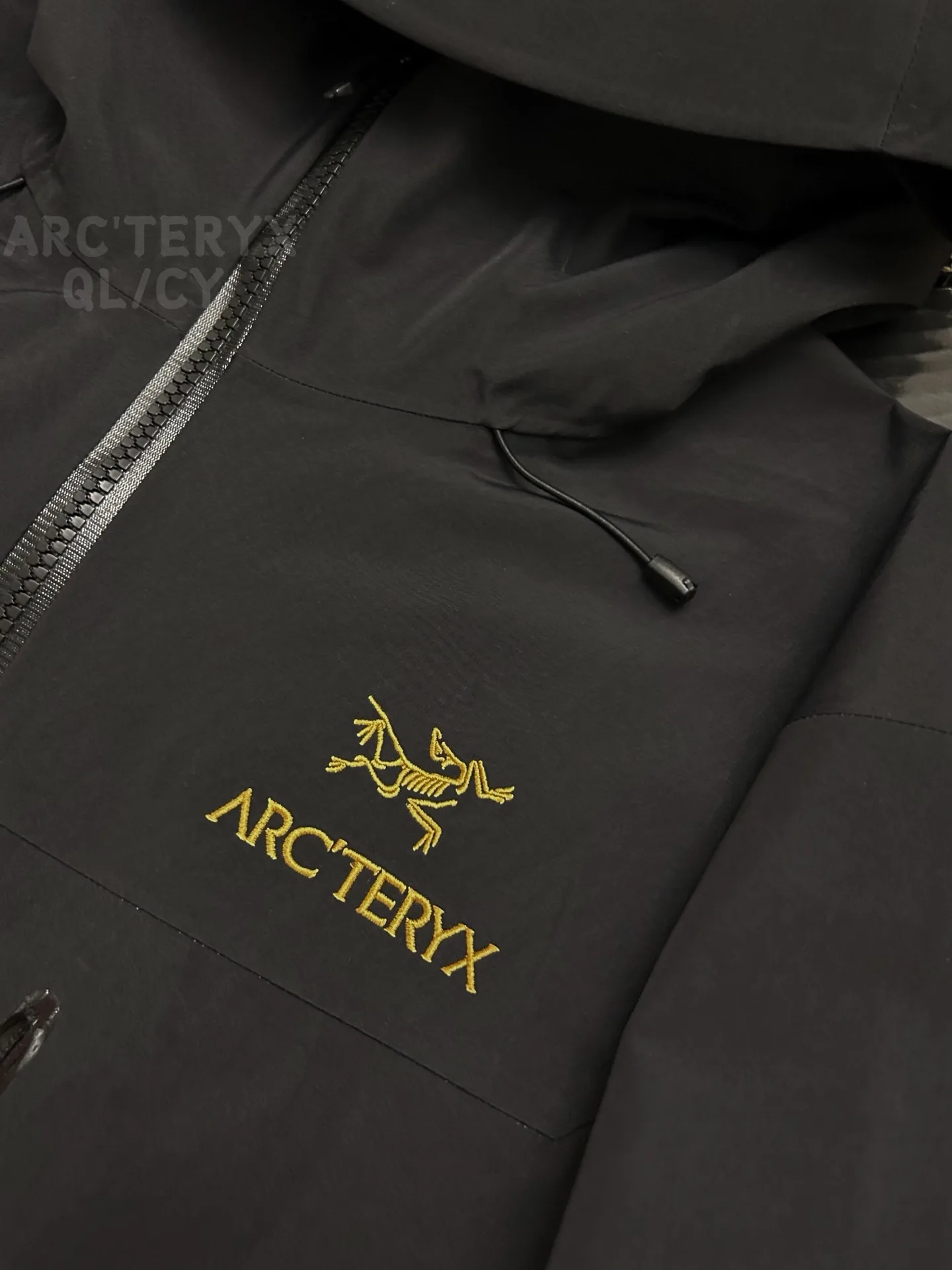 Alpha SV GORE-TEX Hooded Shell Jacket D42020882 — view 3