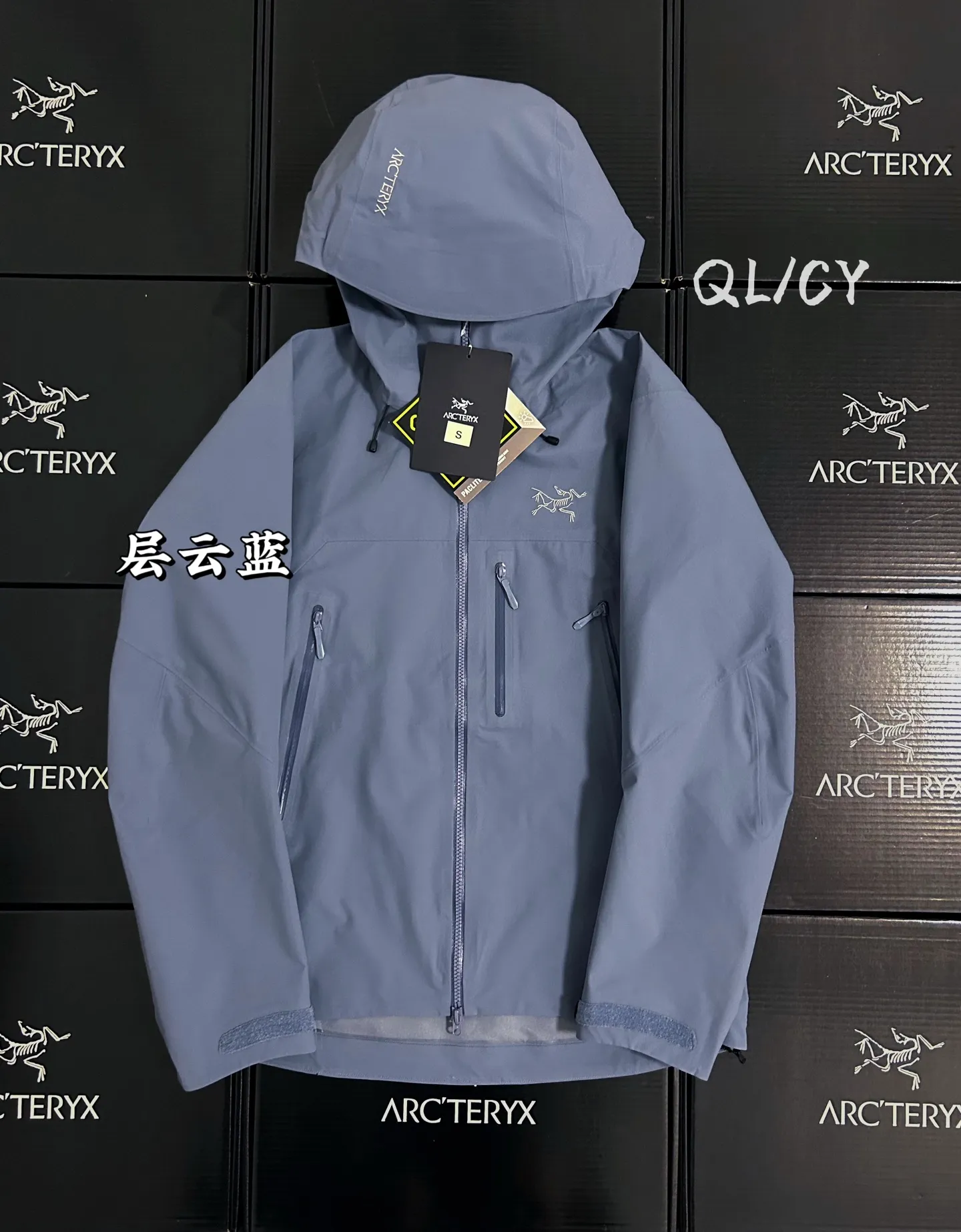 Beta SV GORE-TEX Pro Hooded Shell Jacket D42020899
