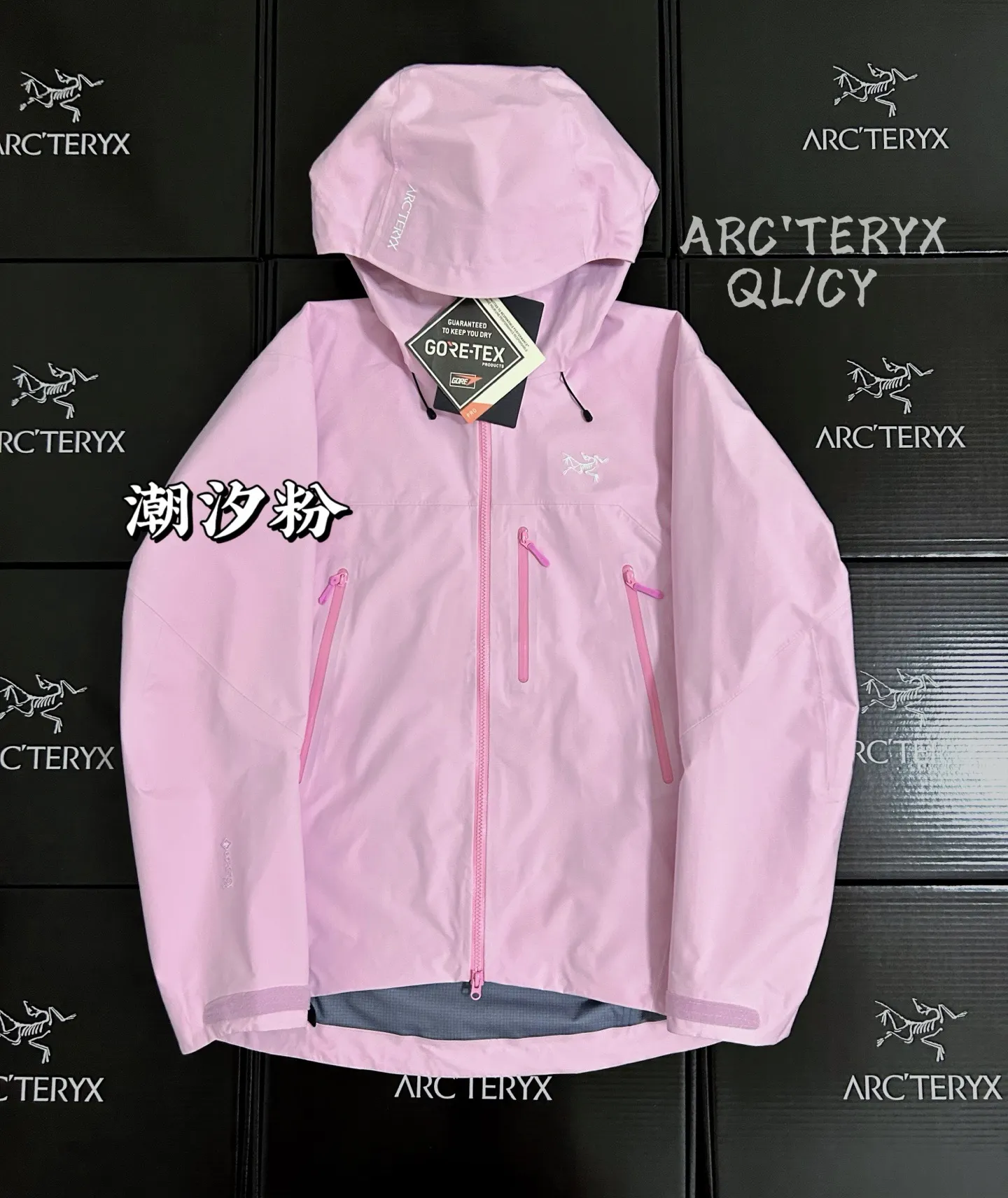 Beta SV GORE-TEX Pro Hooded Shell Jacket D42020903