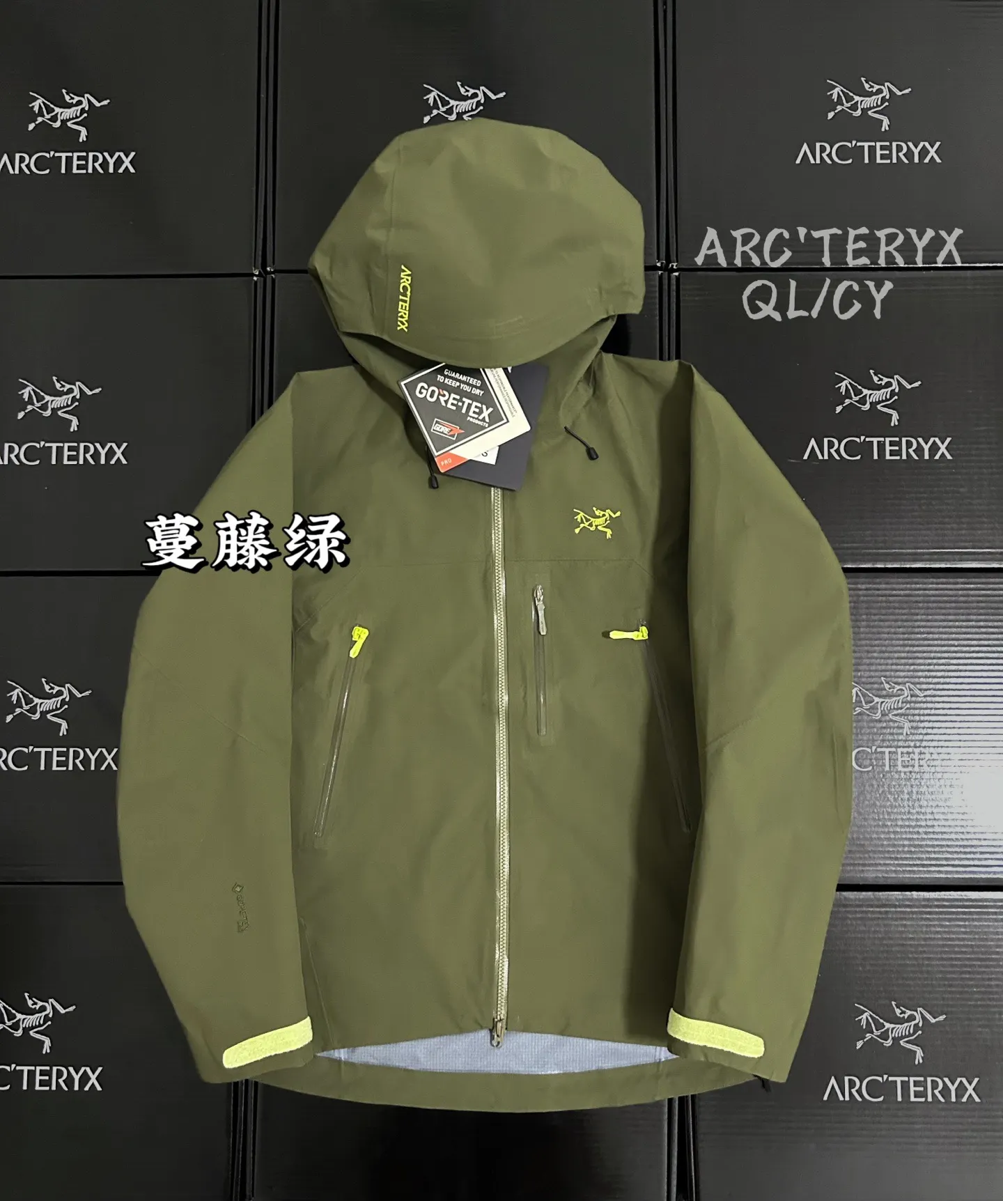 Beta SV GORE-TEX Pro Hooded Shell Jacket D42020900